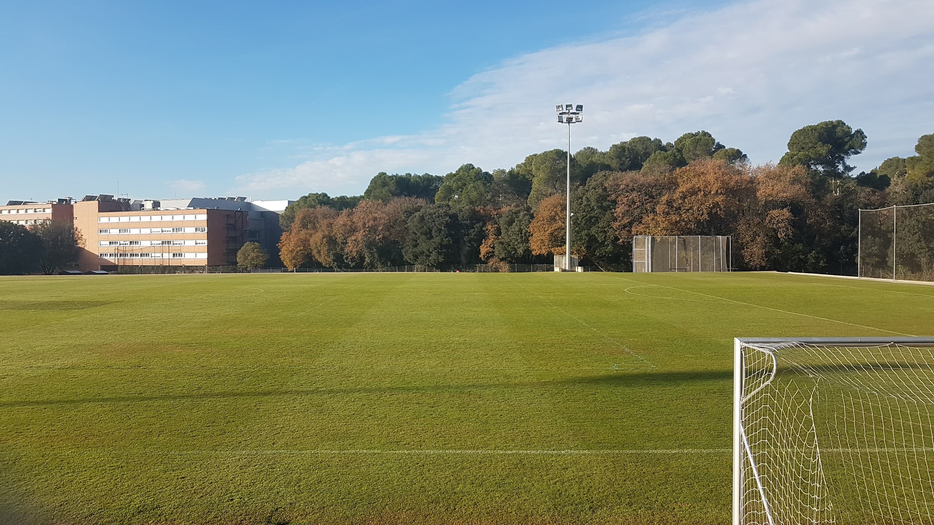 Foto secundaria del campus Institut Centre d'Alt Rendiment Esportiu