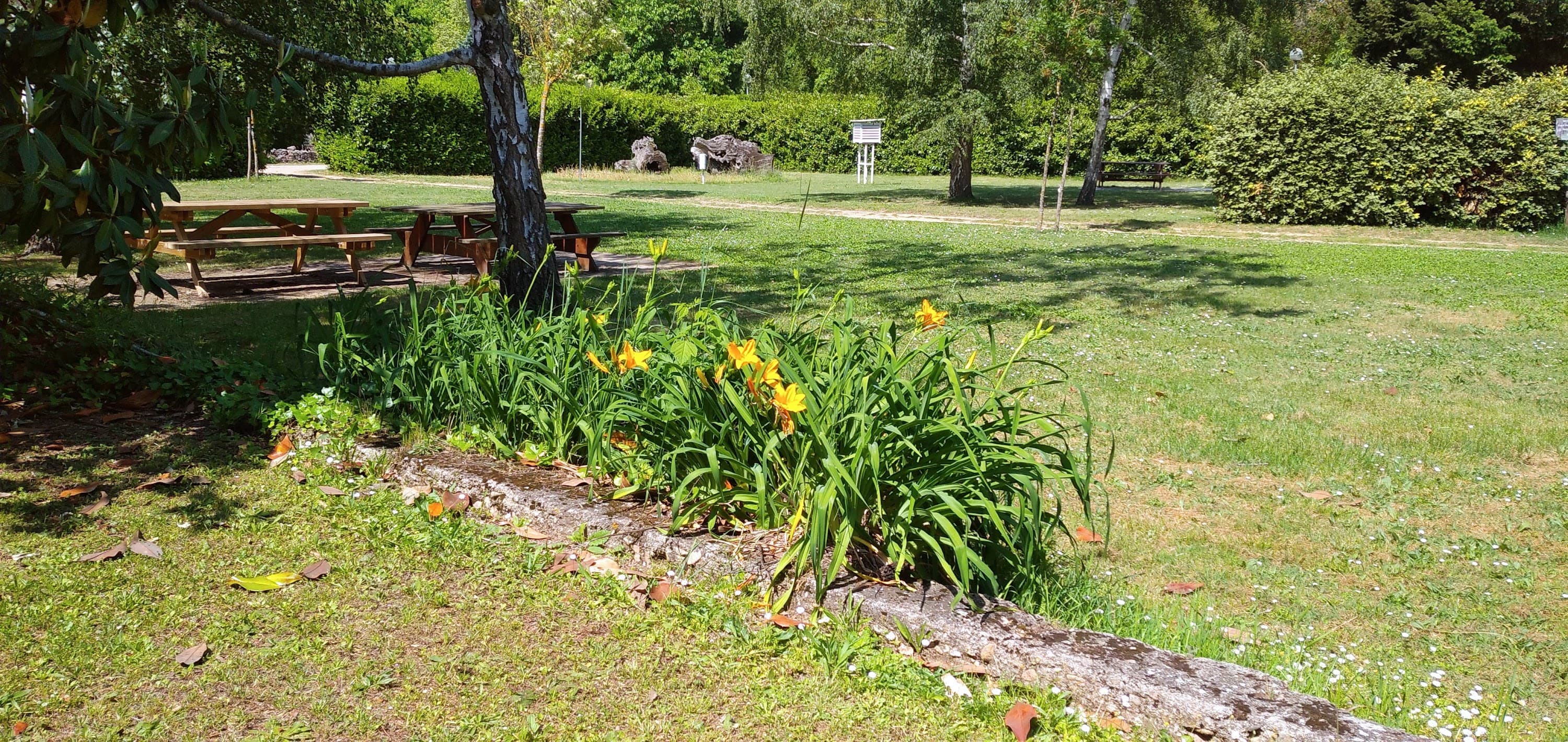 Foto secundaria del campus Escola Agrària i Forestal de Santa Coloma de Farners