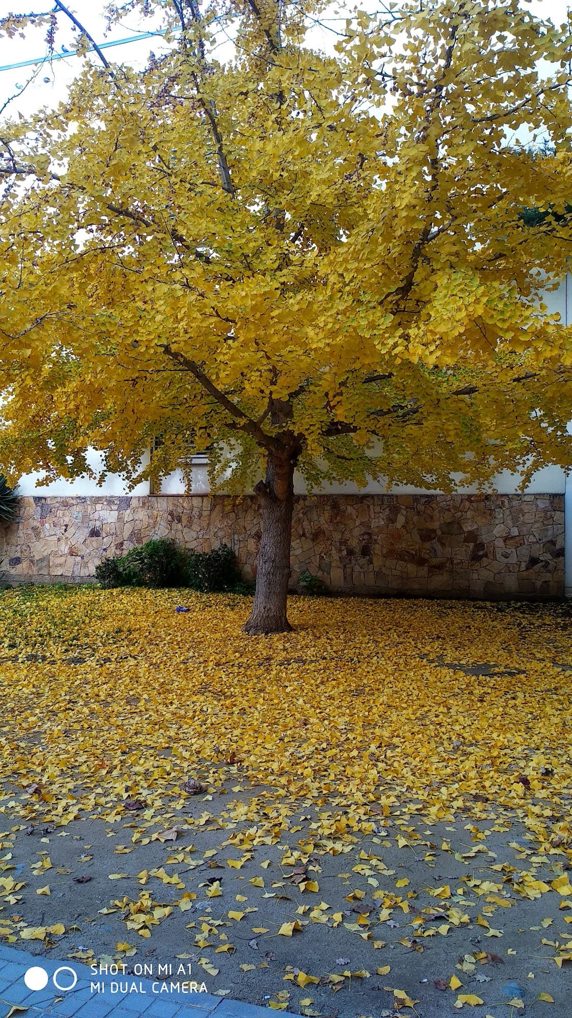 Foto del campus Institut Escola del Treball (Granollers)