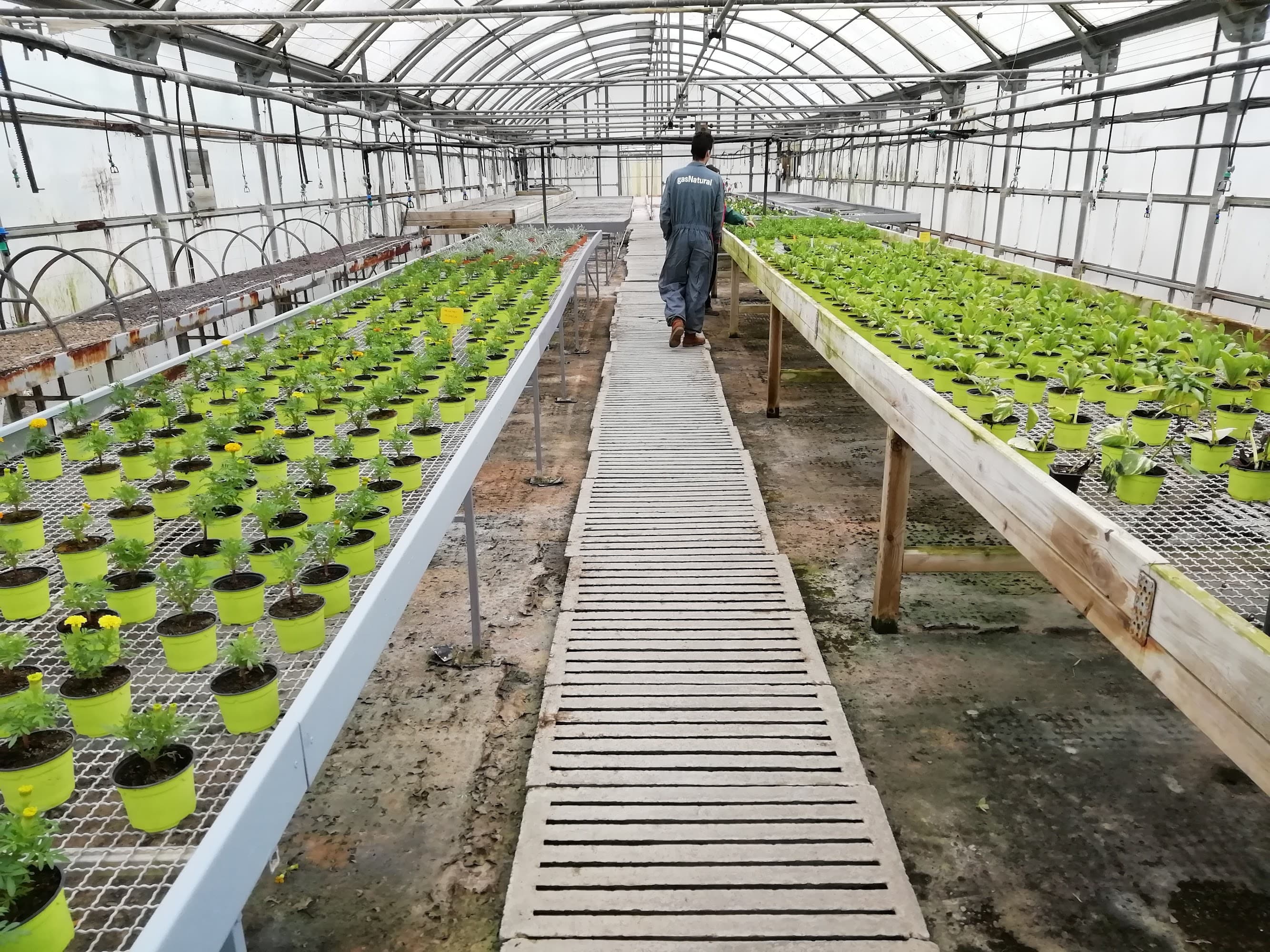 Foto del campus Escola Agrària d'Amposta