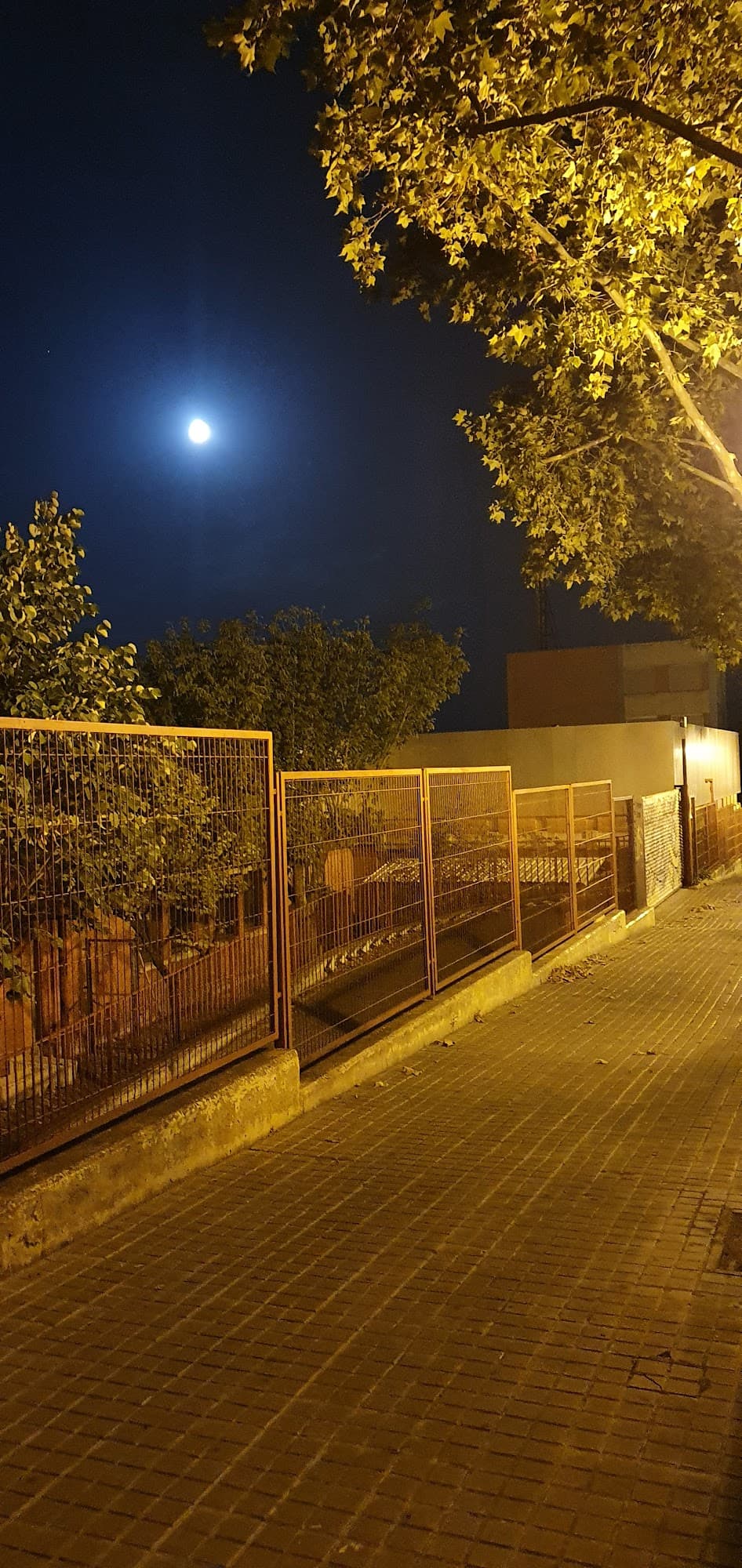 Foto secundaria del campus Institut Pompeu Fabra