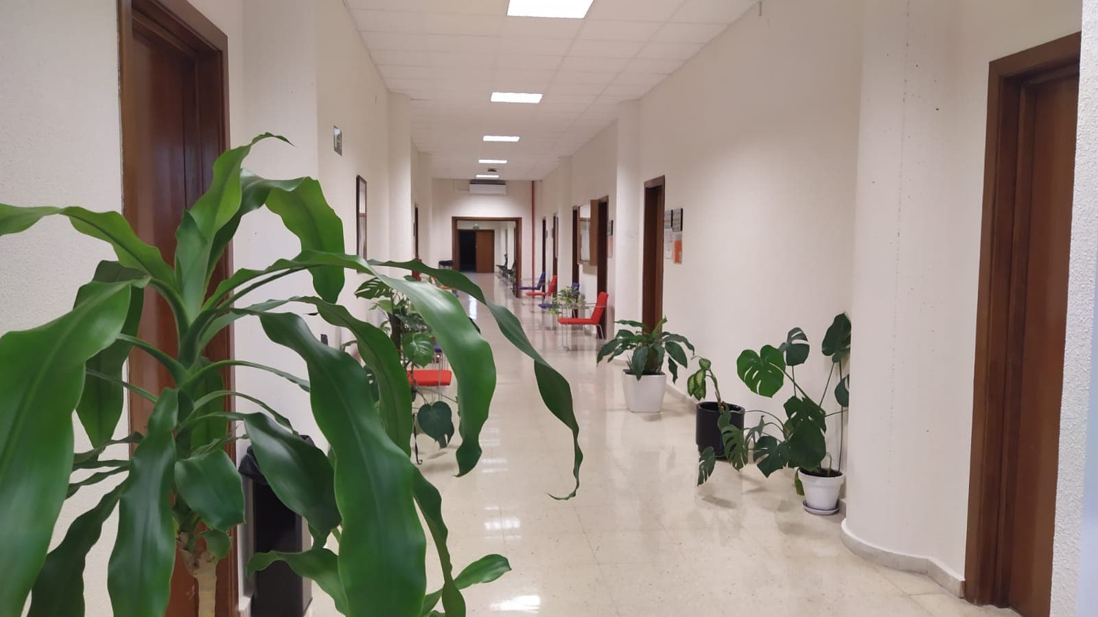 Foto secundaria del campus Facultad de Trabajo Social