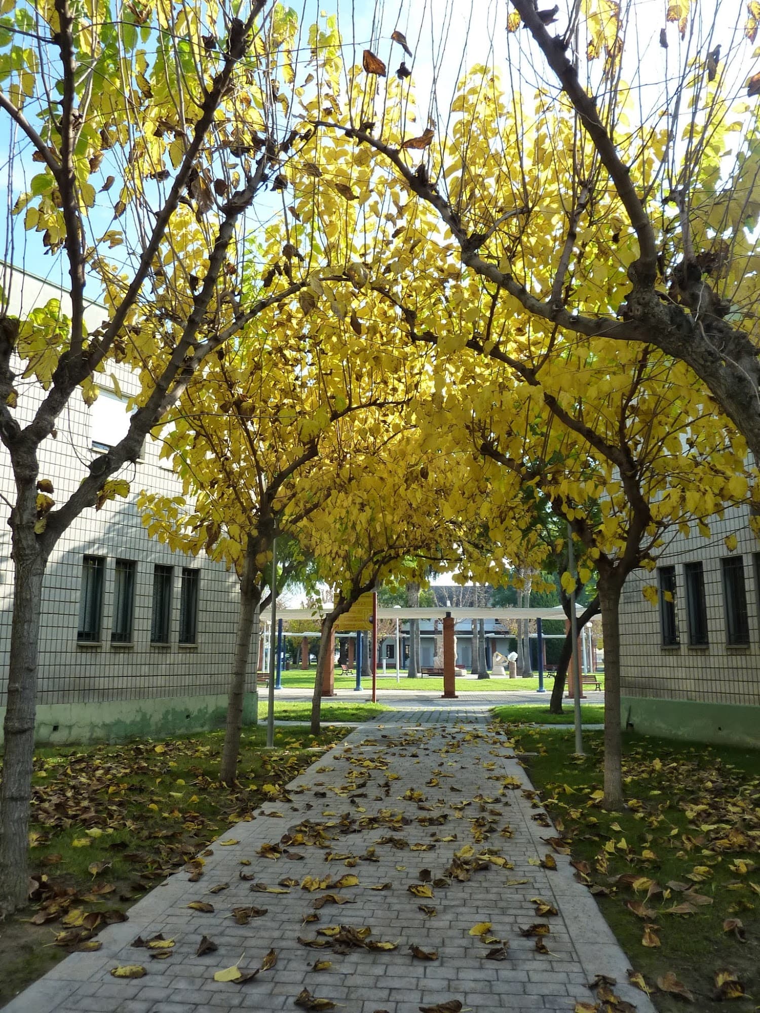 Foto secundaria del campus Campus de Orihuela