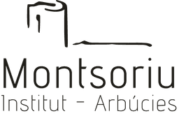 Institut Montsoriu