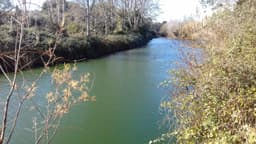 Institut Sòl-de-Riu