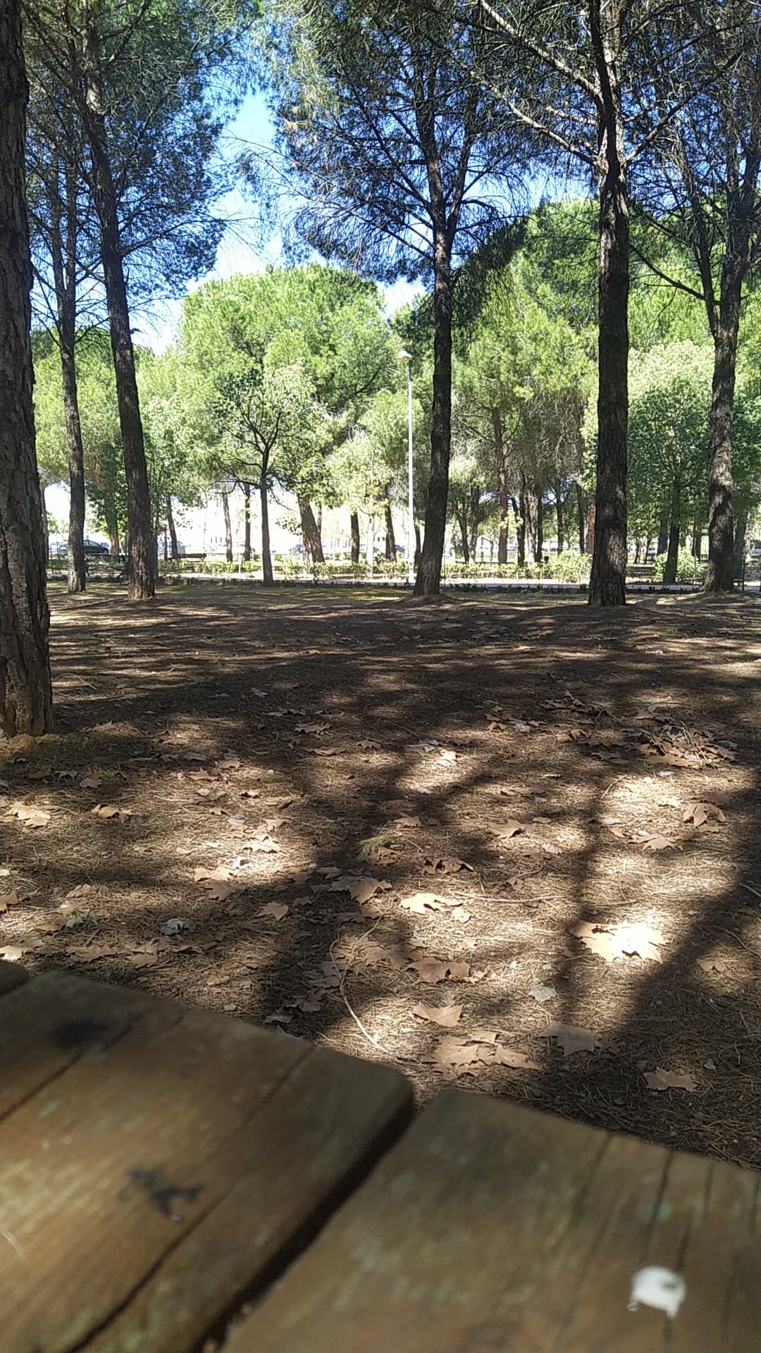 Foto del campus Facultad de Ciencias