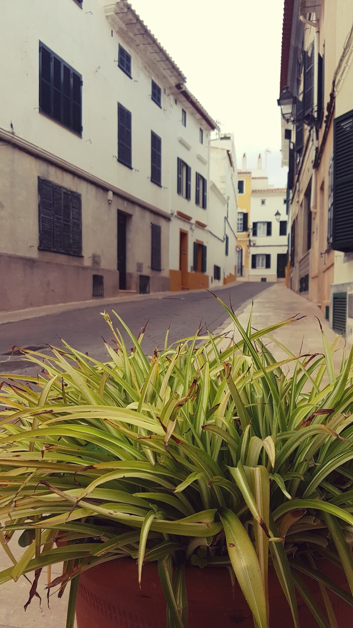 Foto secundaria del campus Sede Universitaria de Menorca