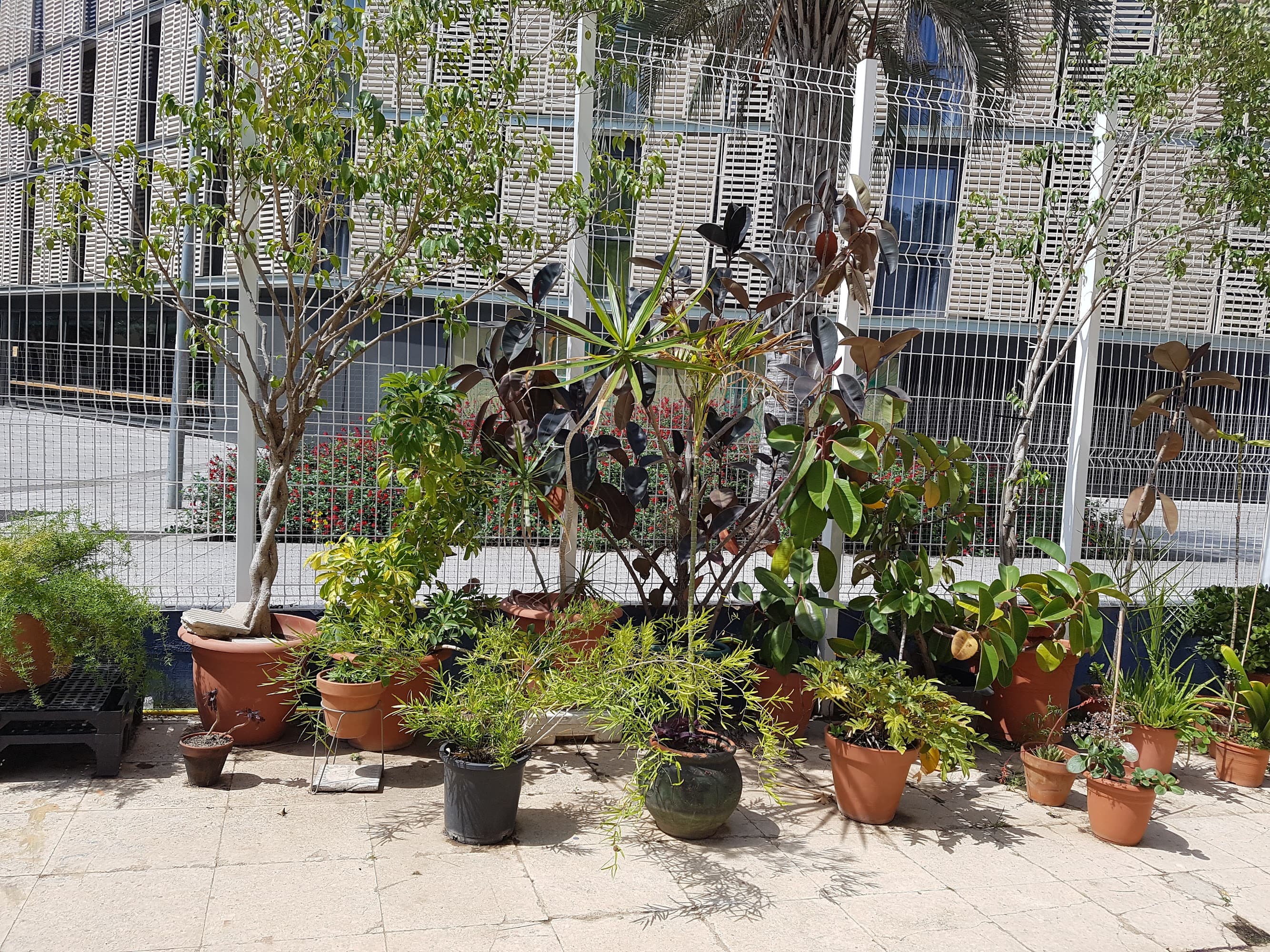 Foto secundaria del campus Fundació Comtal