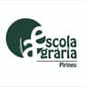 EA Pirineu