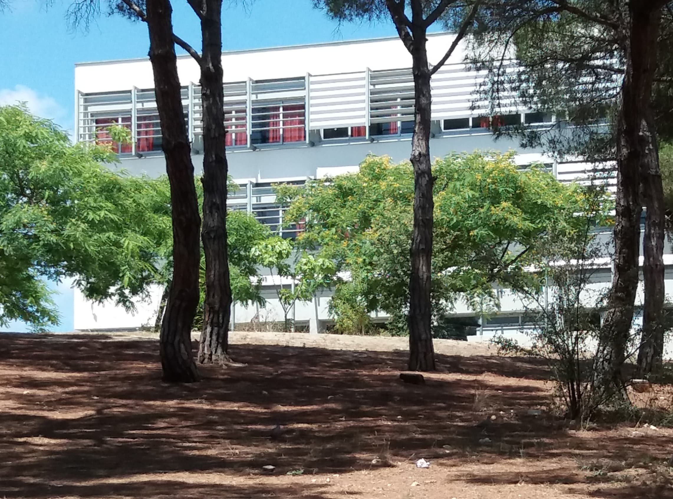 Foto del campus Institut Els Tres Turons