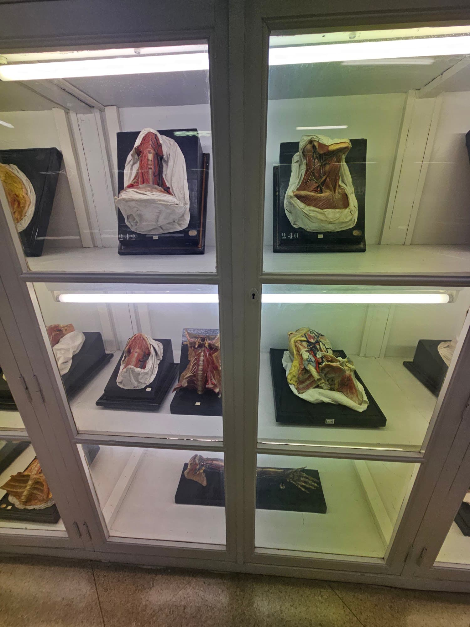 Foto secundaria del campus Facultad de Medicina