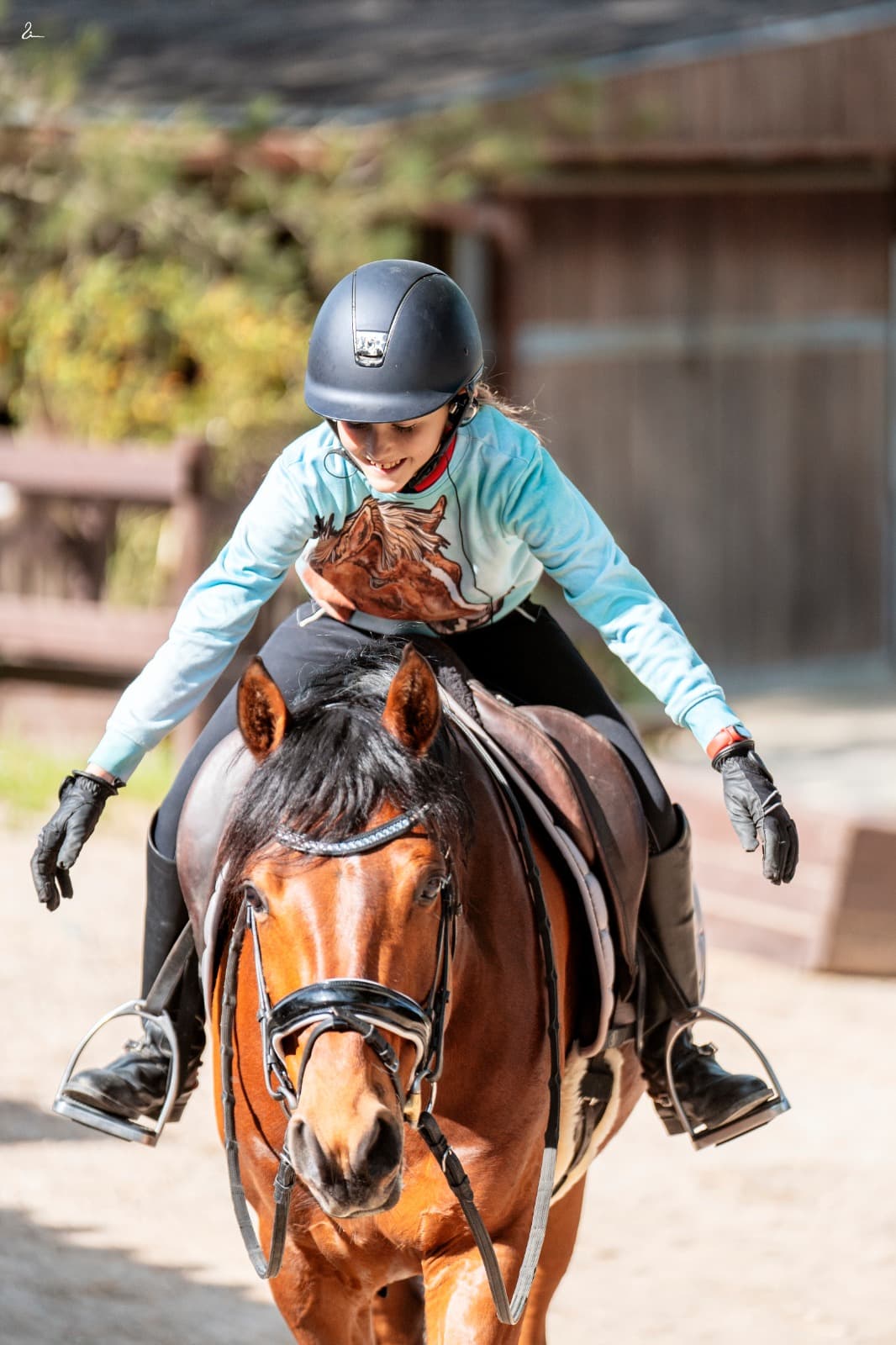 Foto secundaria del campus Cava Horse