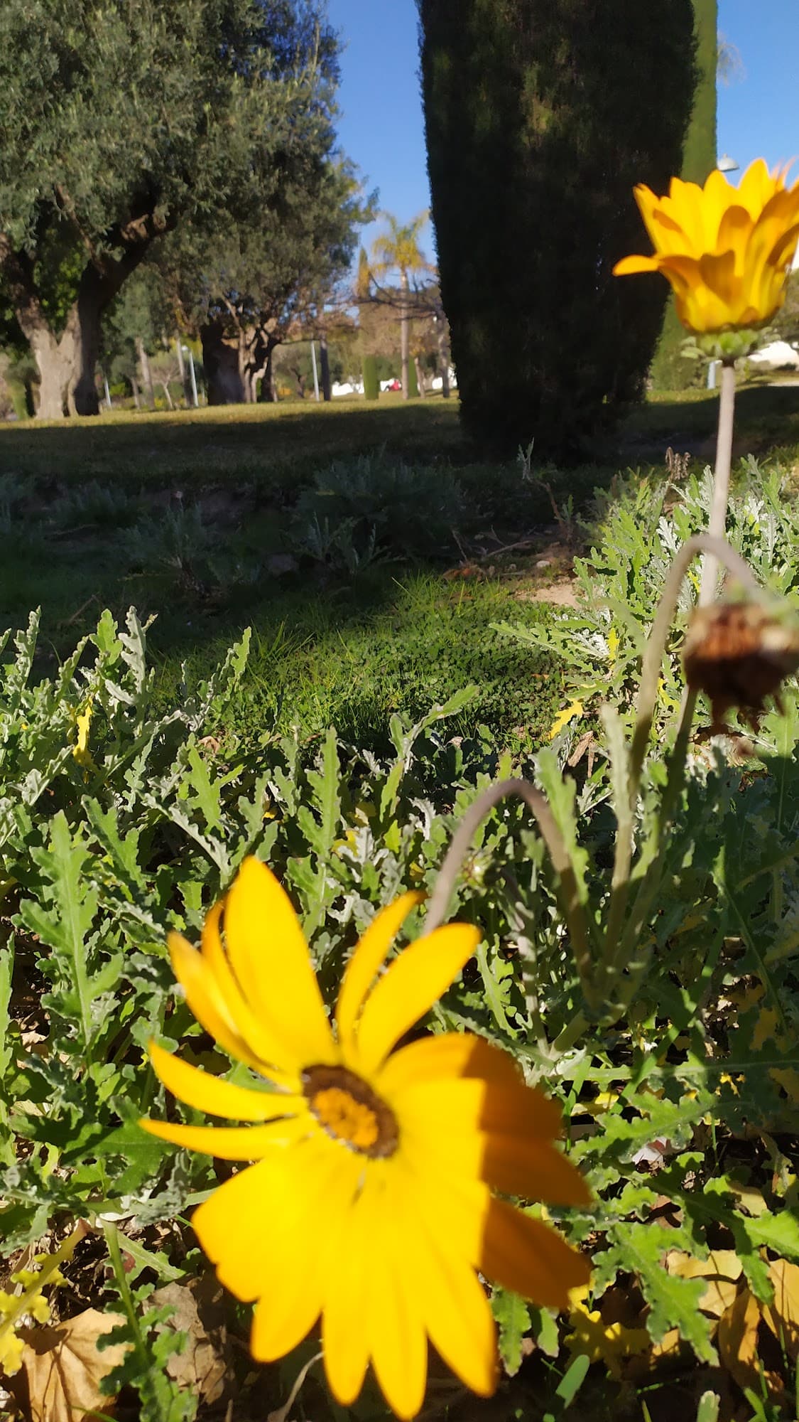 Foto secundaria del campus Facultad de Ciencias de la Salud
