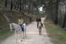 Monitor de rutes a cavall