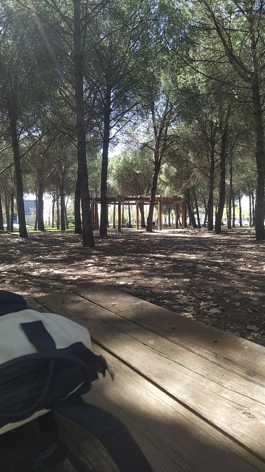 Foto secundaria del campus Facultad de Ciencias