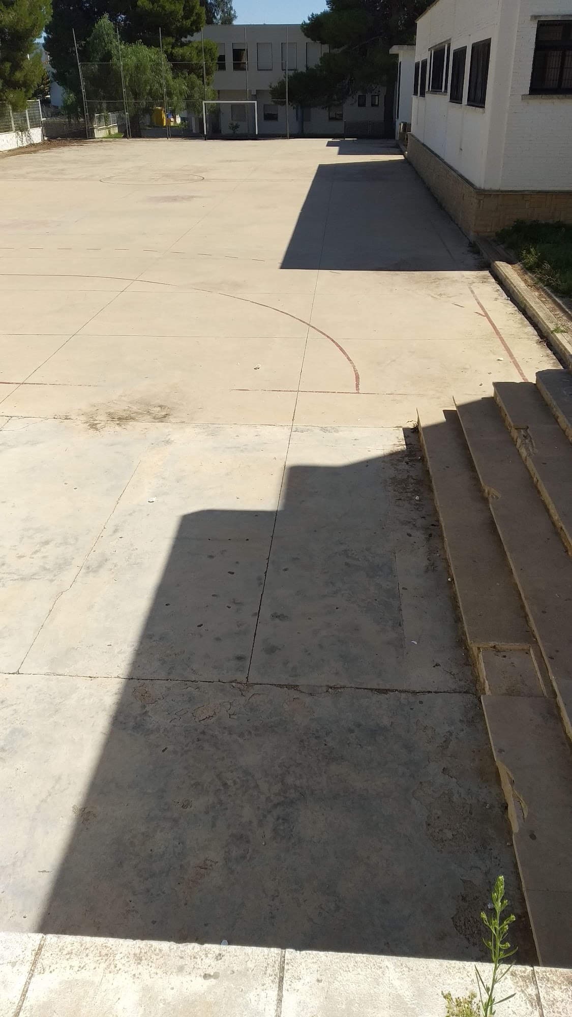 Foto secundaria del campus INS Manuel Sales i Ferré