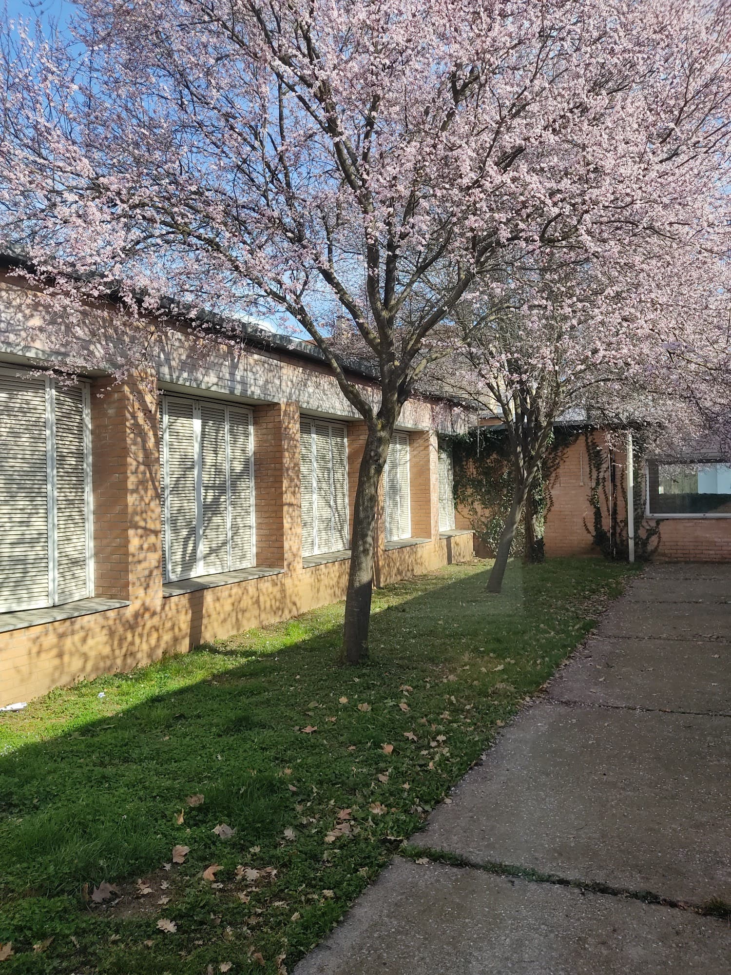 Foto del campus Institut Bosc de la Coma