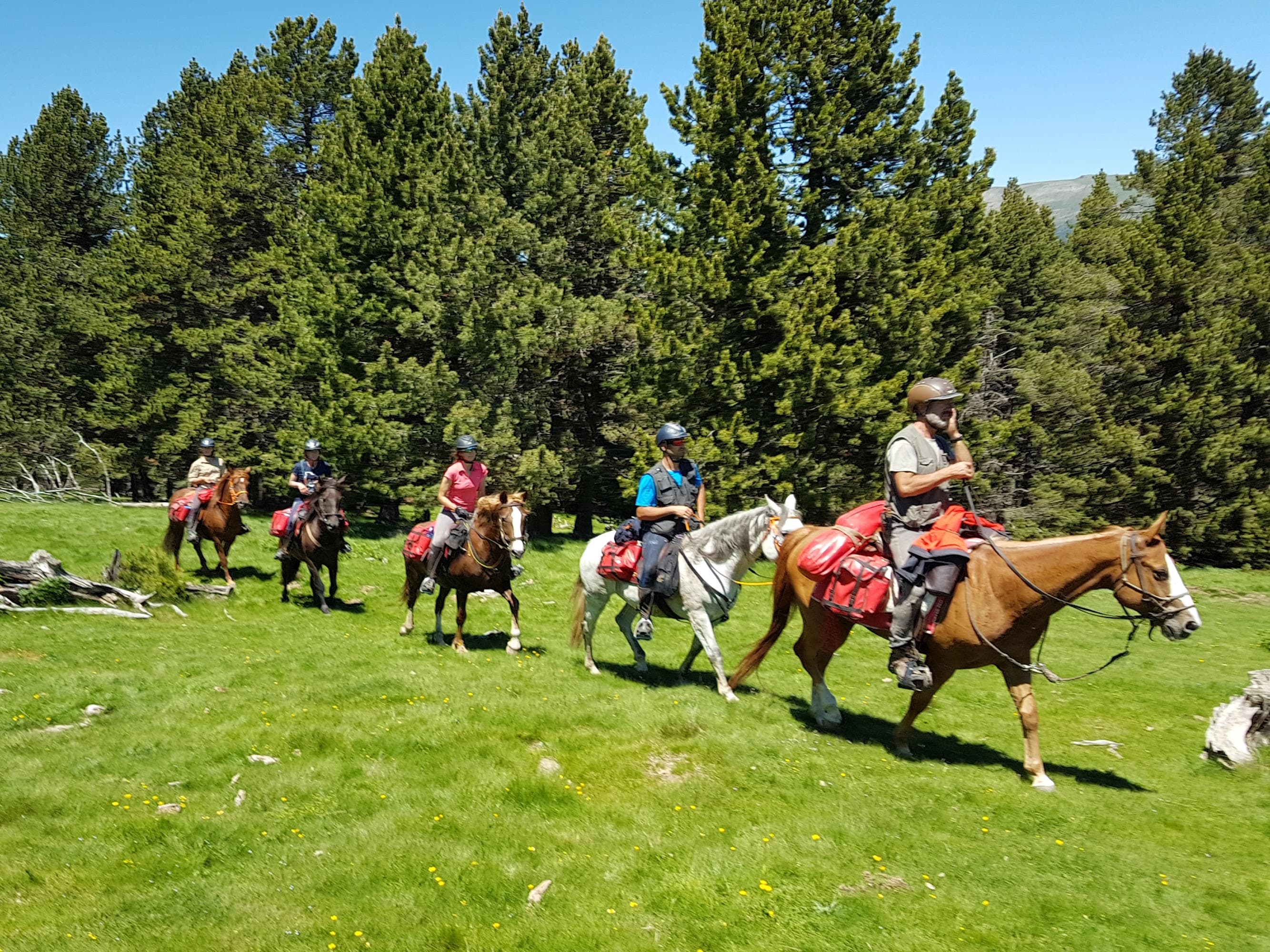 Foto secundaria del campus Escola Agrària del Pirineu