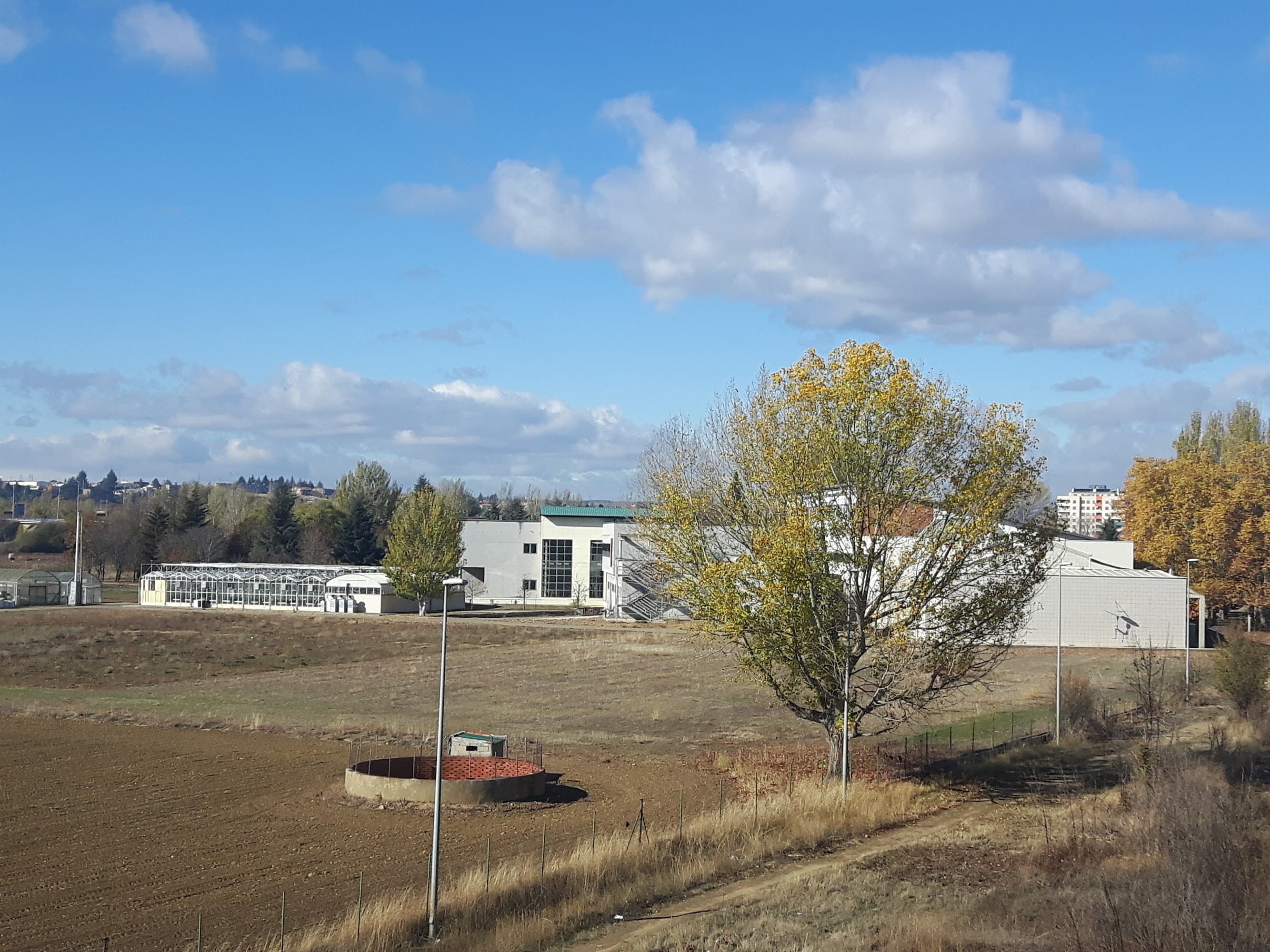 Foto secundaria del campus Escuela de Ingeniería Agraria y Forestal