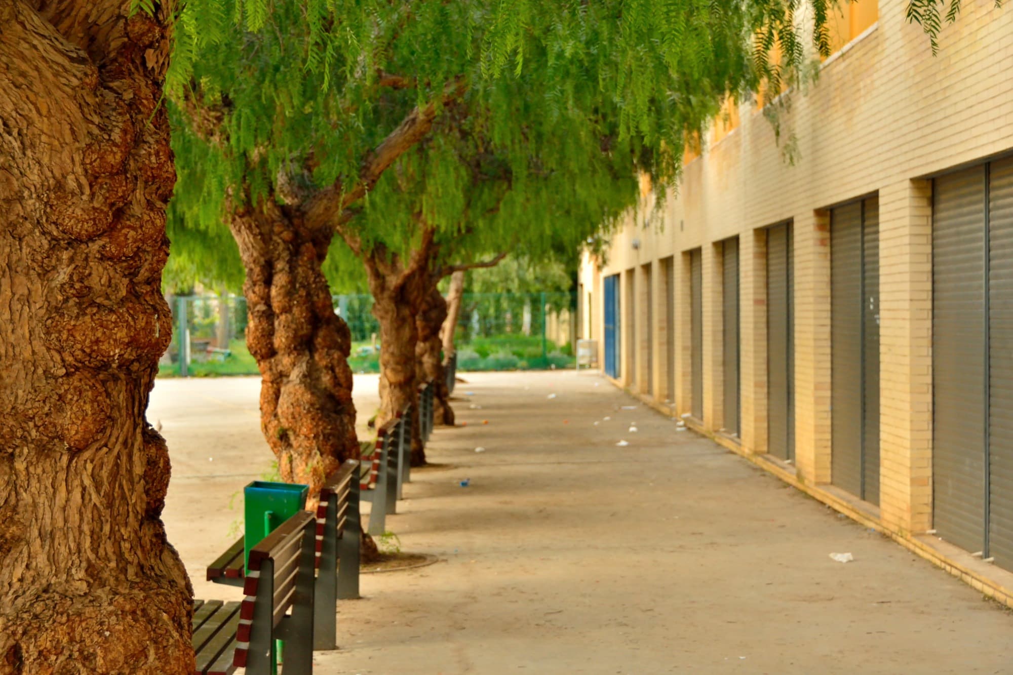 Foto secundaria del campus Institut Joan Coromines