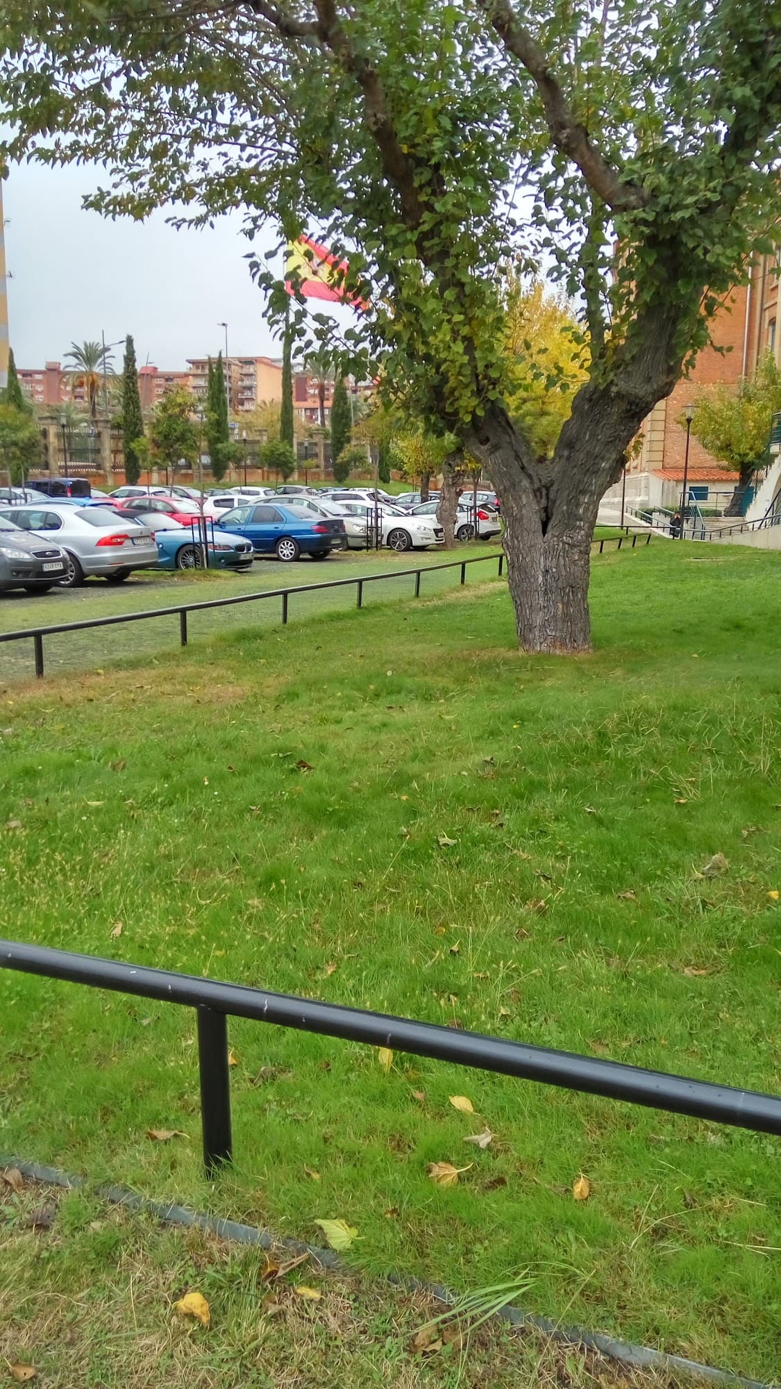 Foto secundaria del campus Centro Universitario de Plasencia
