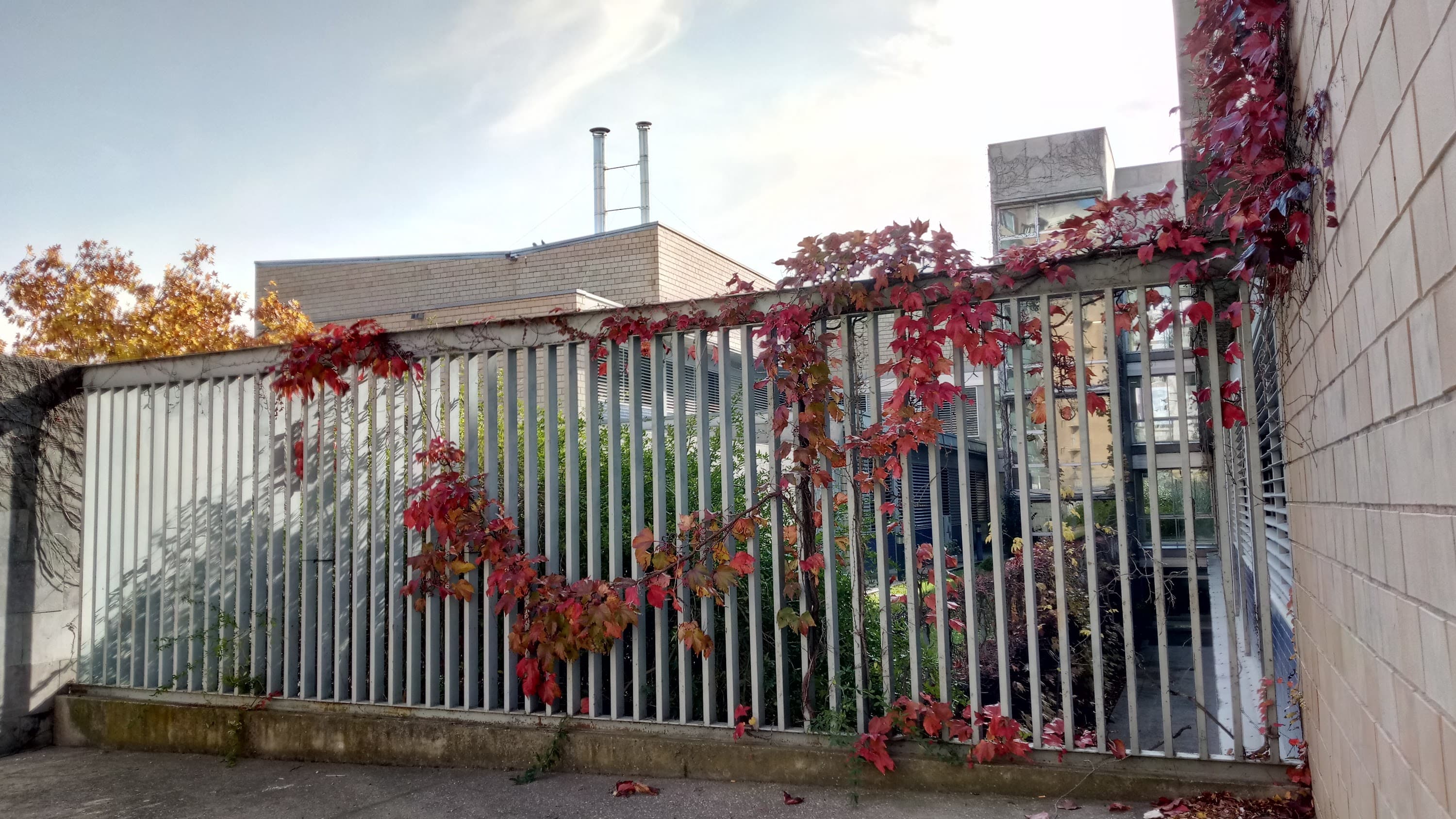 Foto secundaria del campus Facultad de Ciencias Sociales y del Trabajo