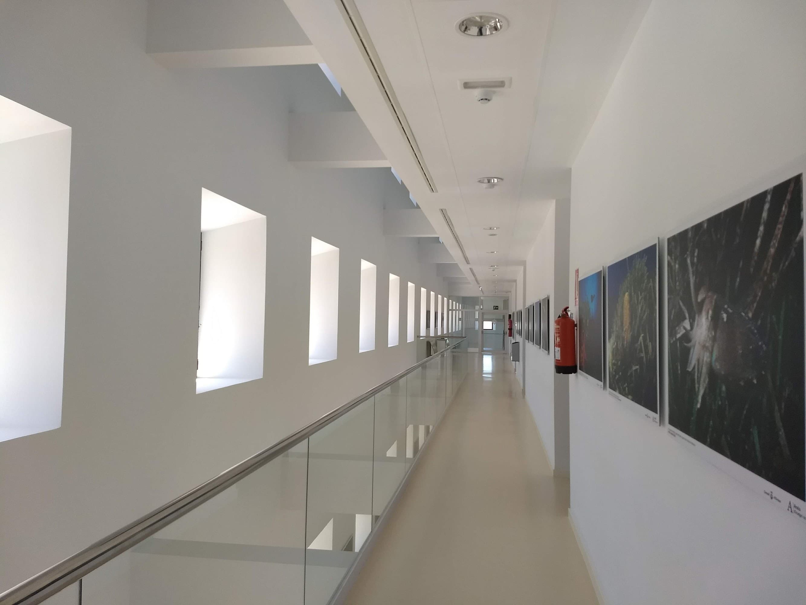 Foto secundaria del campus Sede Universitaria de Eivissa y Formentera