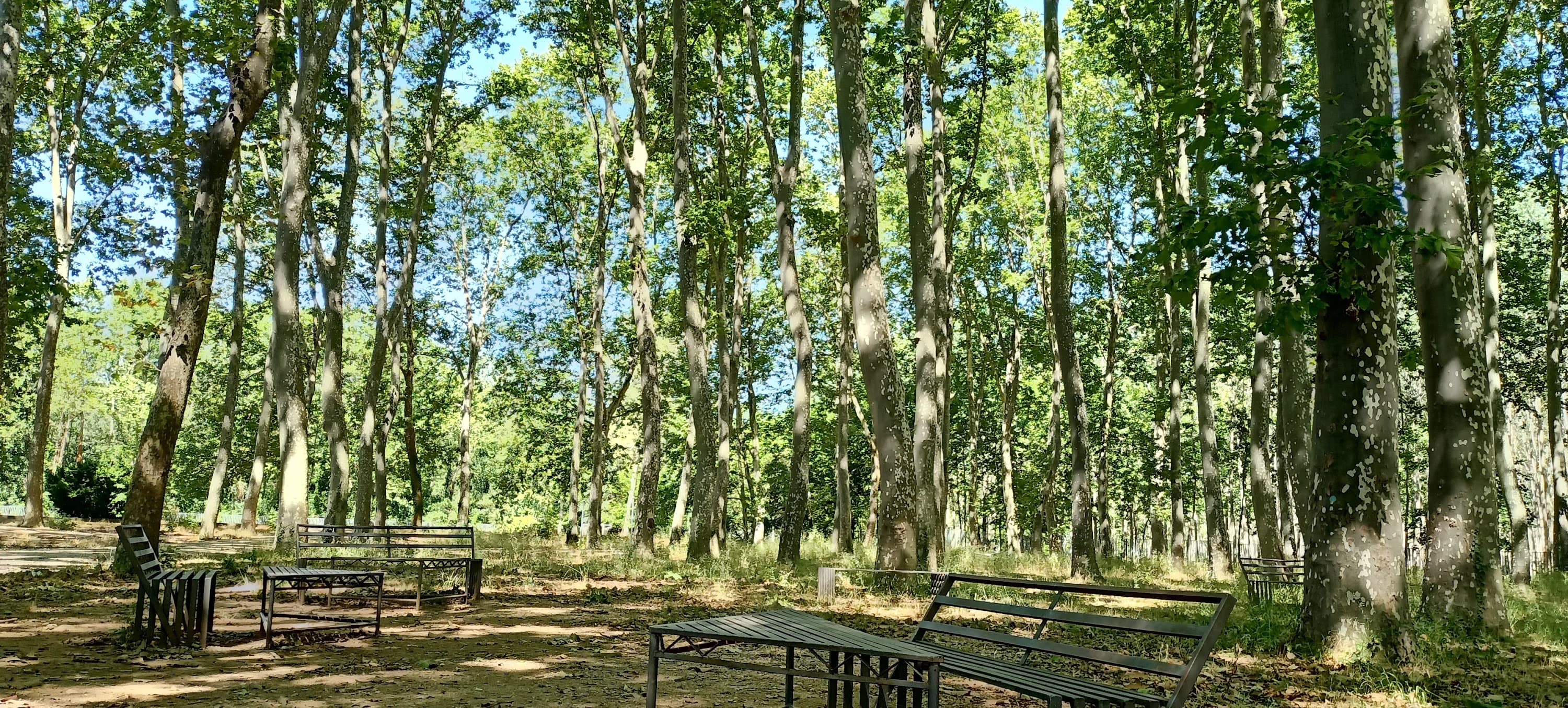 Foto del campus Institut Narcís Xifra i Masmitjà