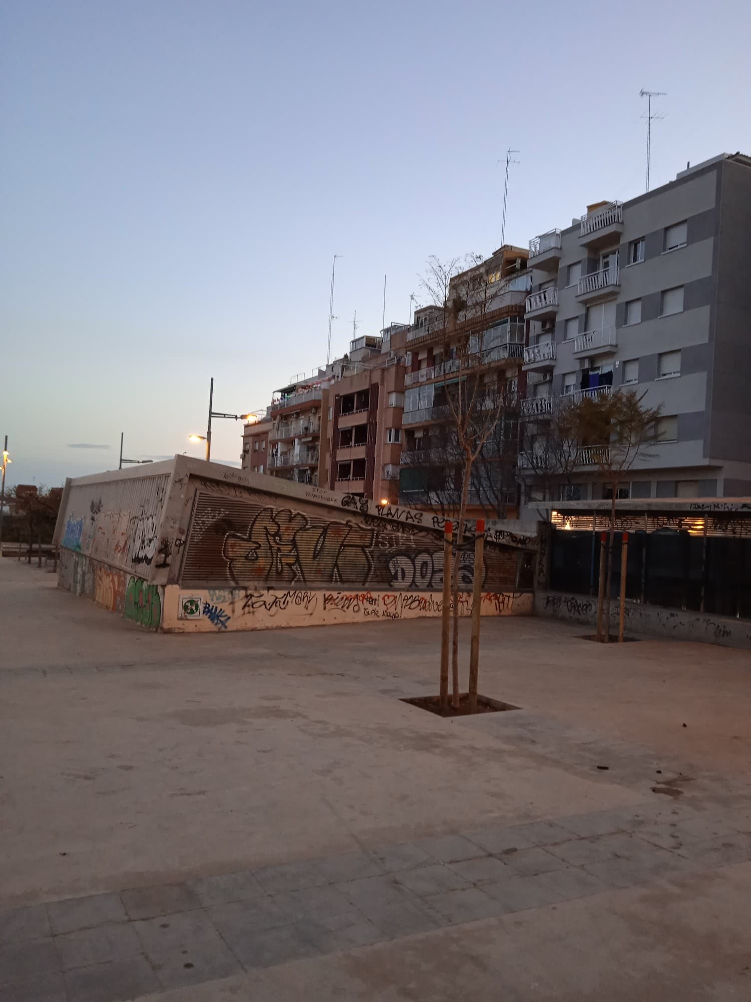 Foto secundaria del campus Institut La Pineda
