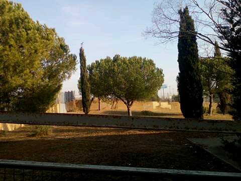 Foto secundaria del campus Institut Gallecs