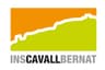 Institut Cavall Bernat