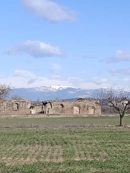 Institut de Guissona