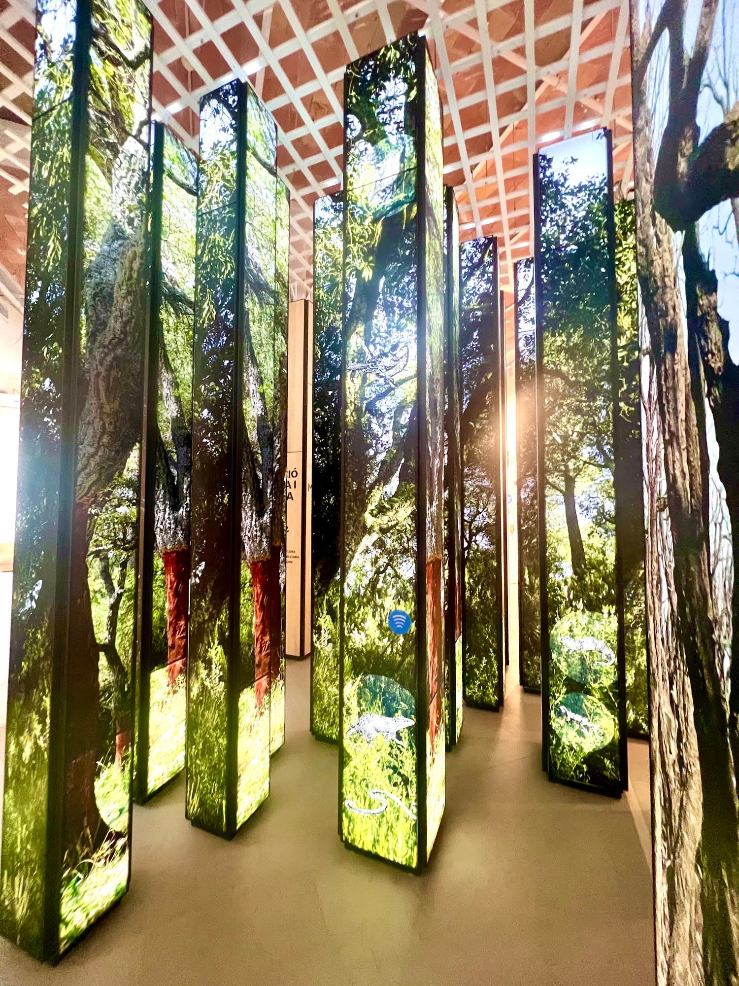 Foto secundaria del campus Institut Baix Empordà