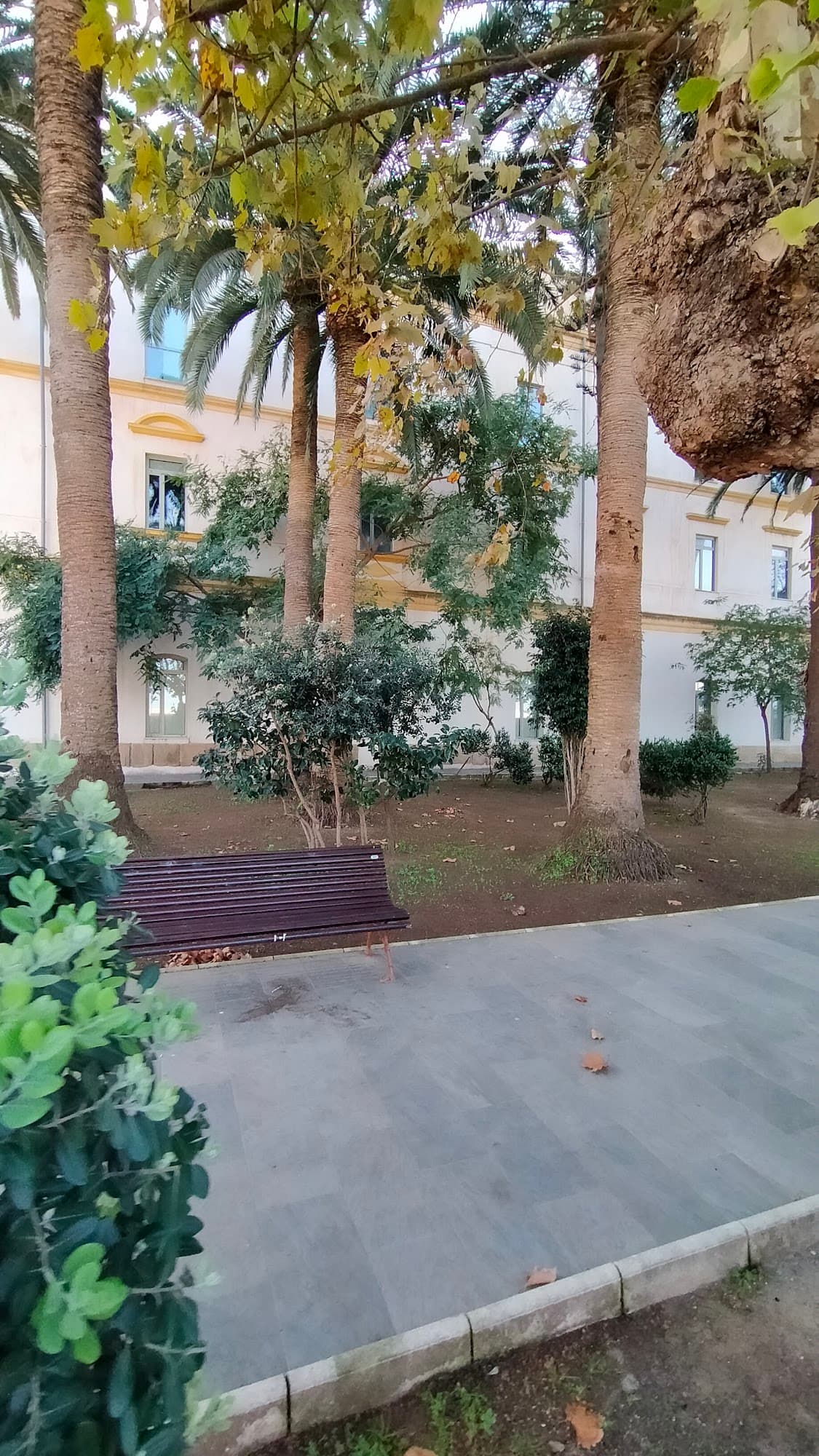 Foto secundaria del campus Facultad de Ciencias de la Salud de Ceuta