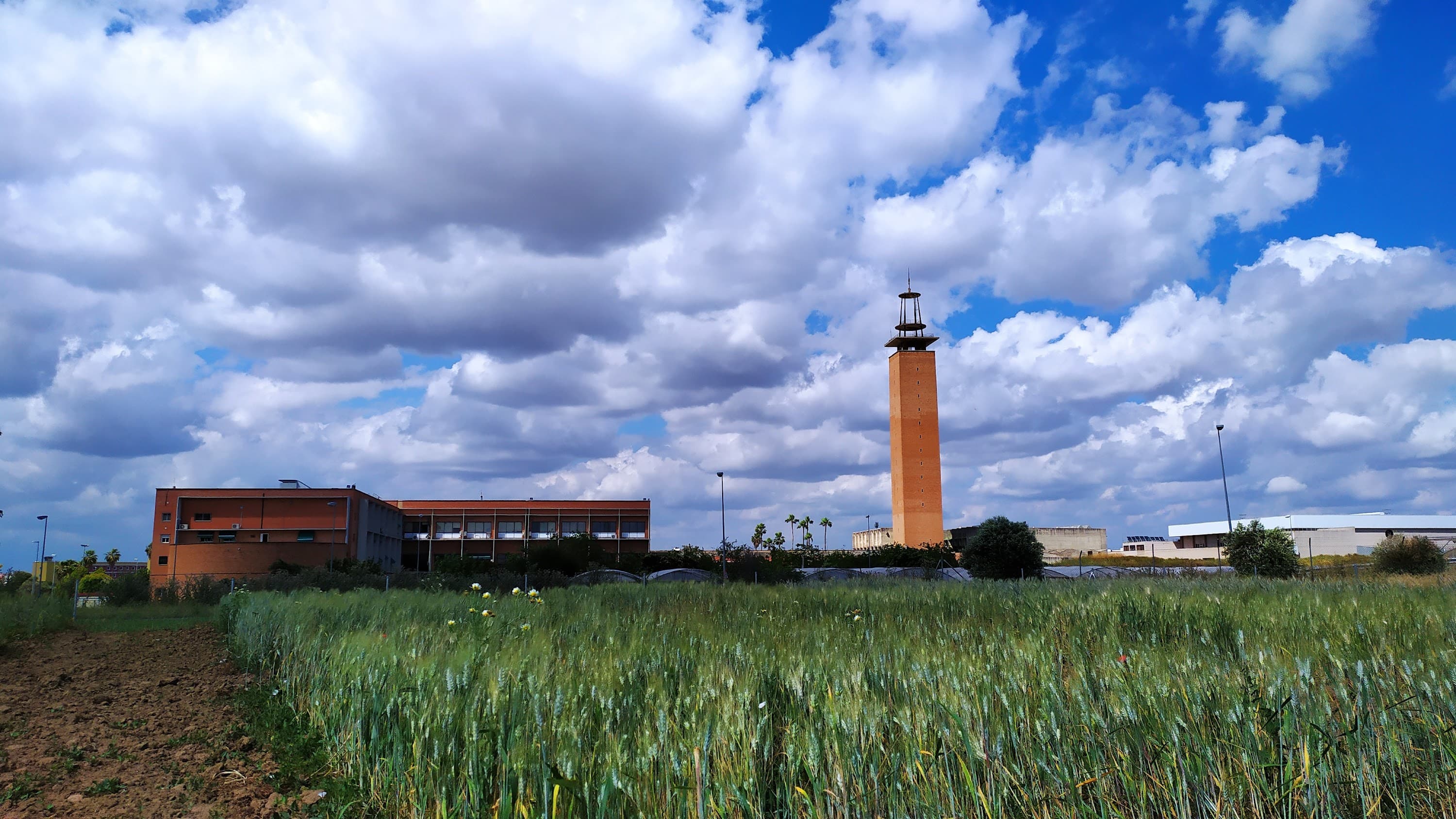 Foto del campus Escuela Técnica Superior de Ingeniería Agronómica