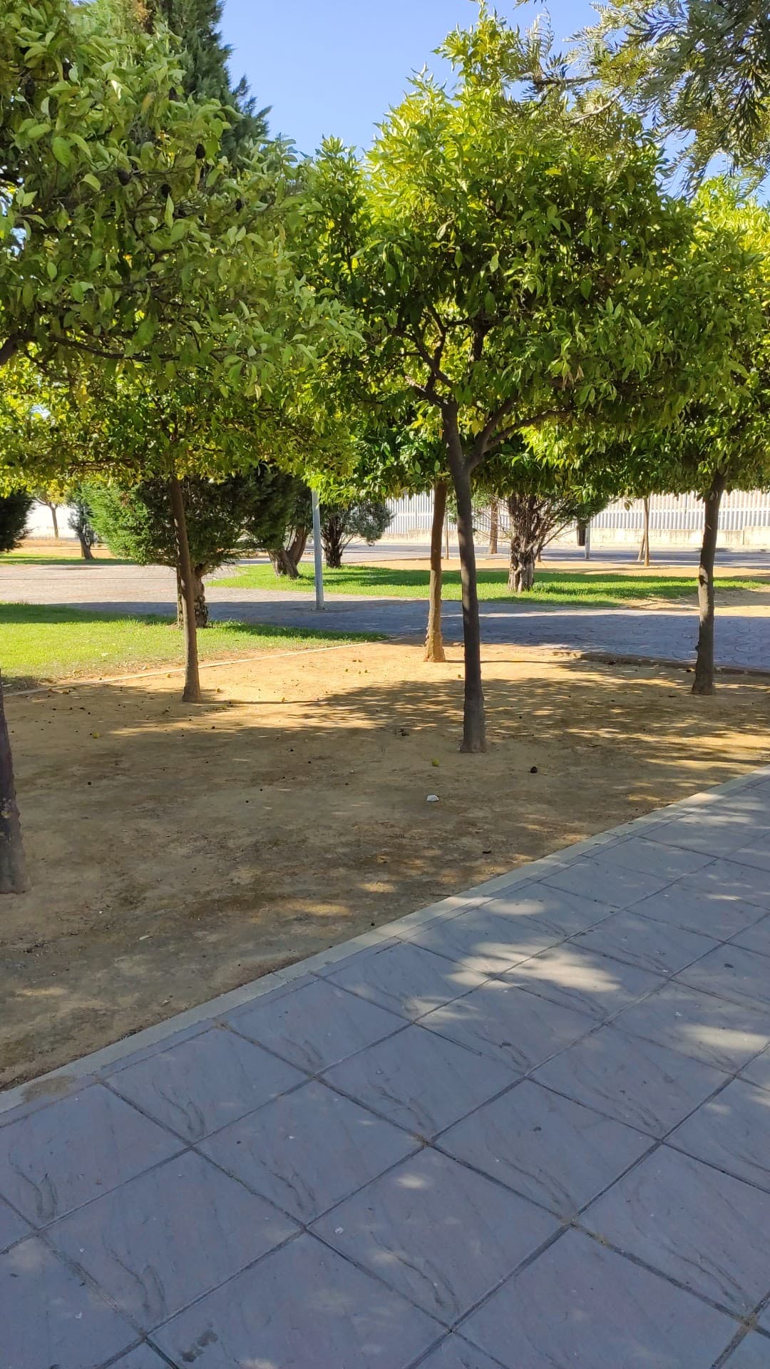 Foto secundaria del campus Campus El Carmen