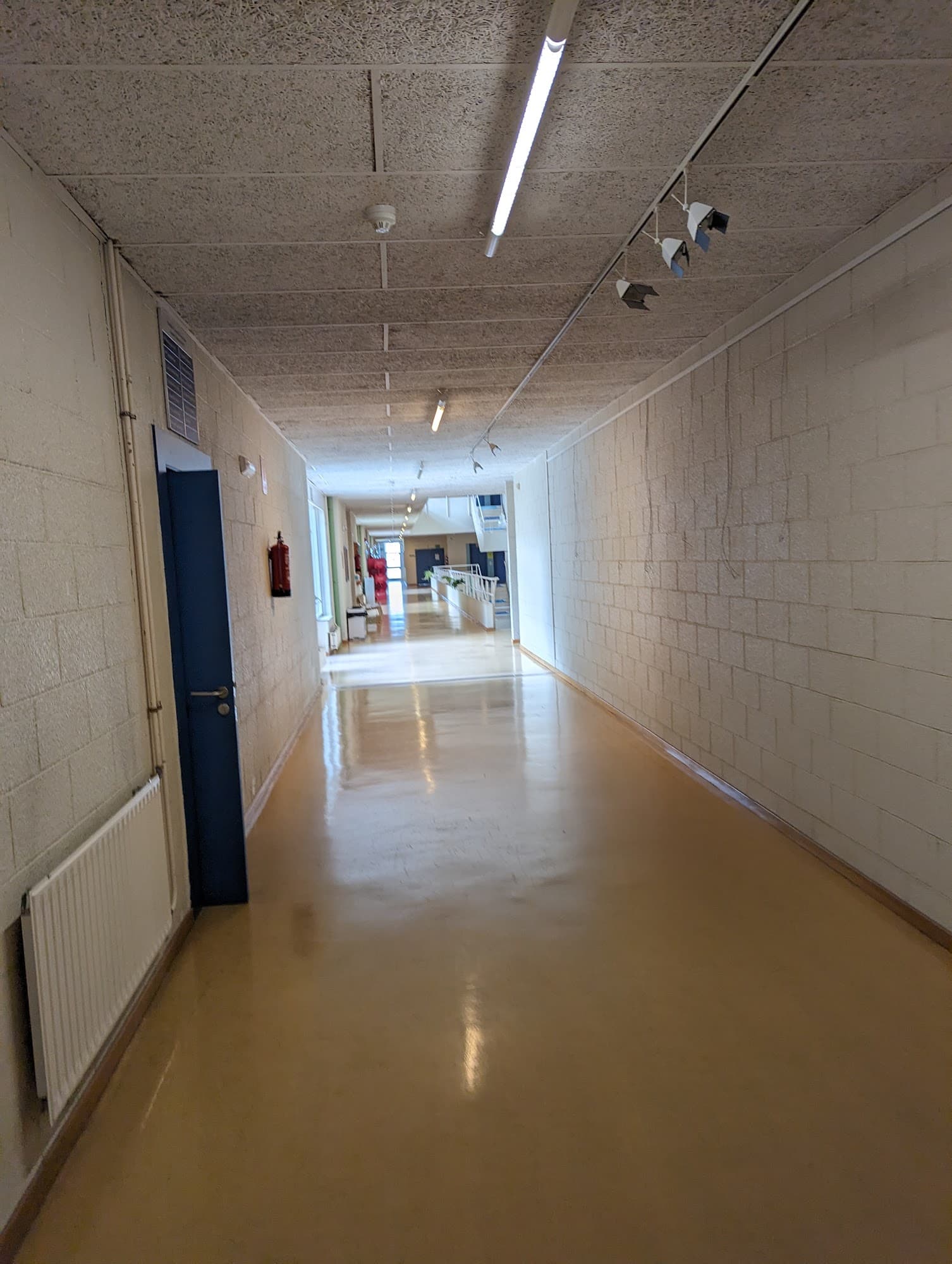 Foto del campus Facultad de Ciencias de la Comunicación