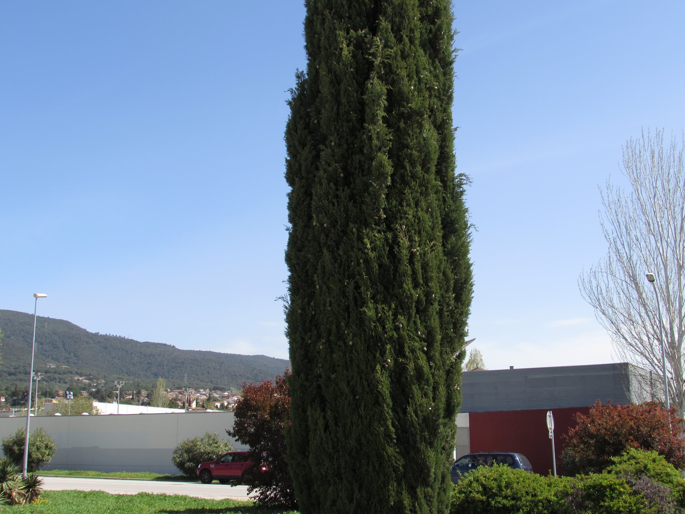 Foto secundaria del campus Institut Vil·la Romana