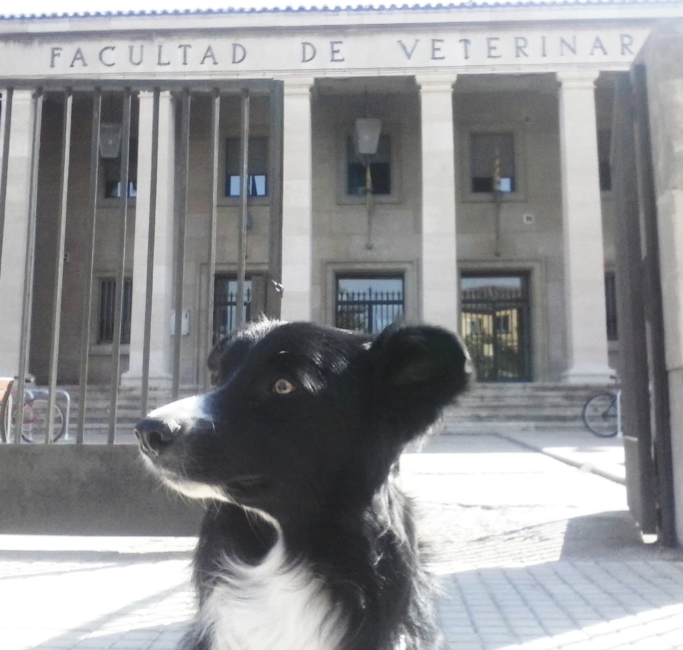 Foto secundaria del campus Facultad de Veterinaria