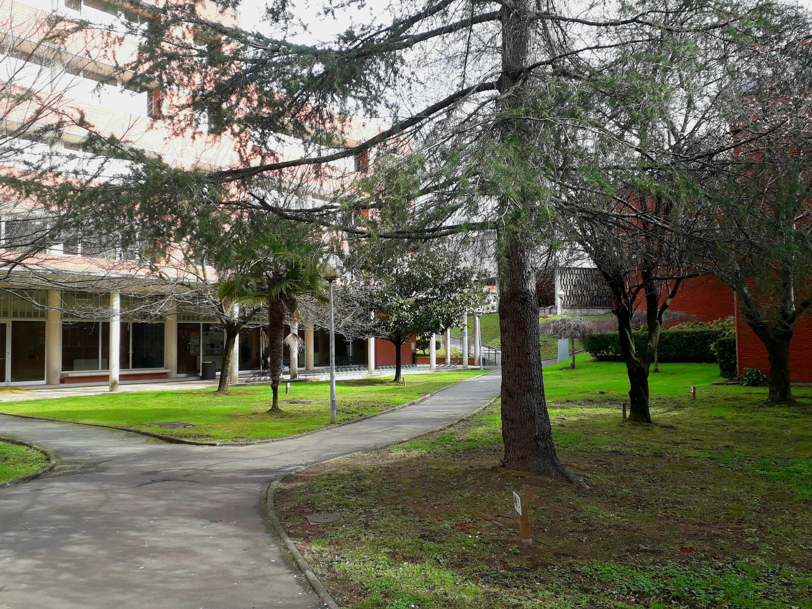 Foto secundaria del campus Campus de Bizkaia