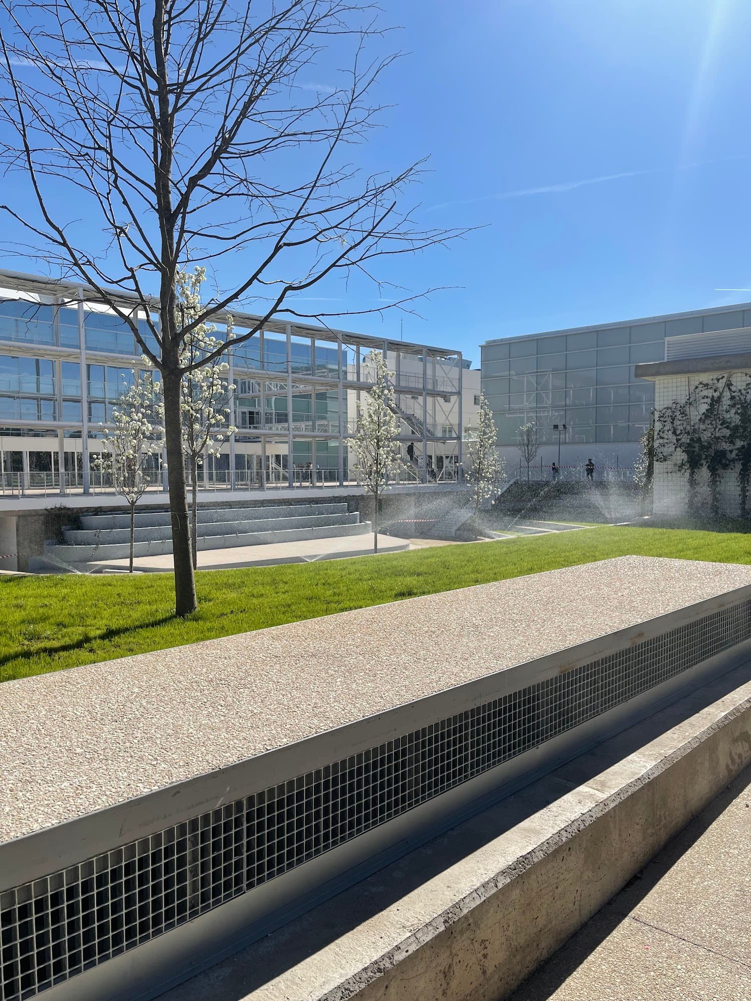 Foto secundaria del campus Campus de Pozuelo de Alarcón