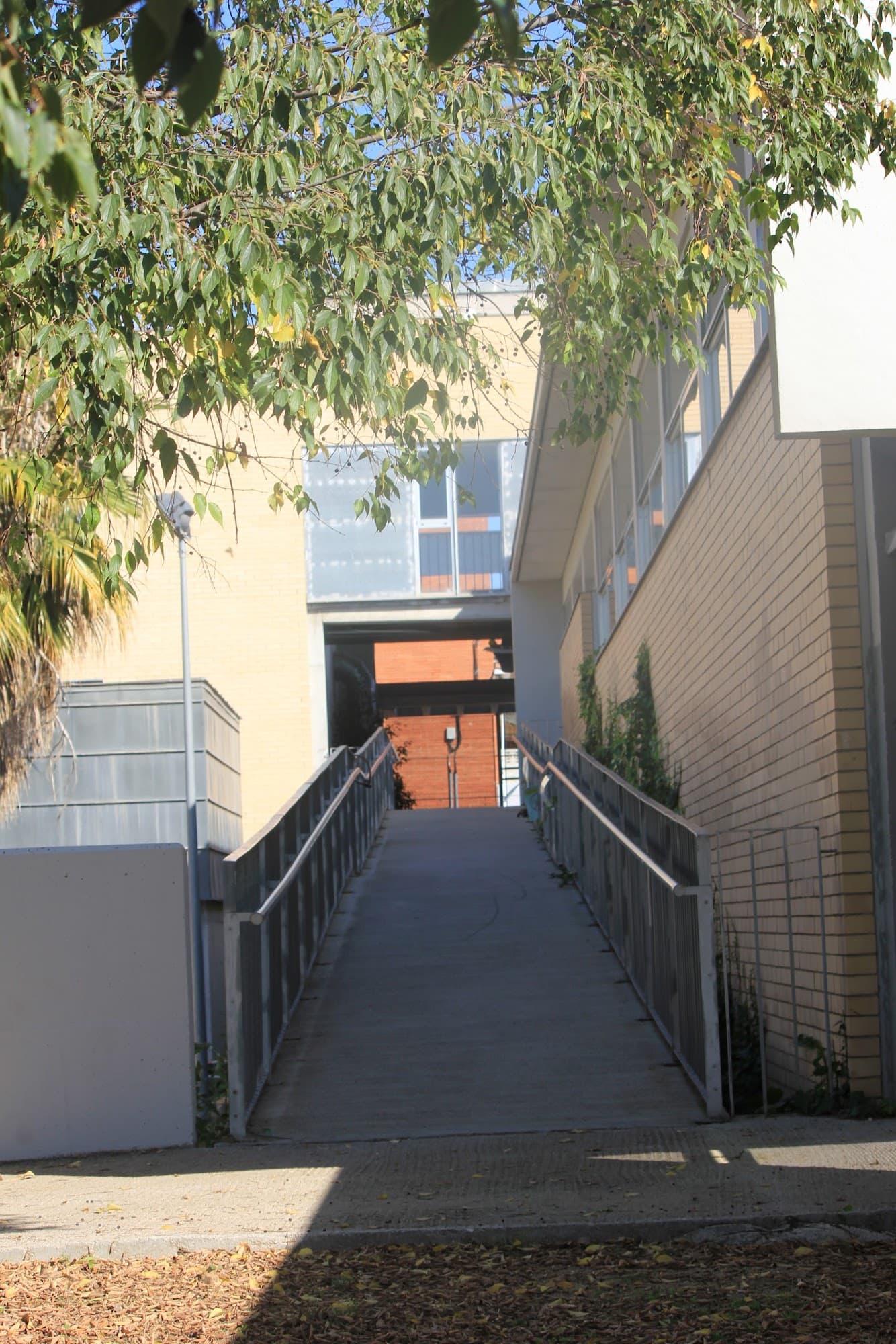 Foto secundaria del campus Institut Can Puig