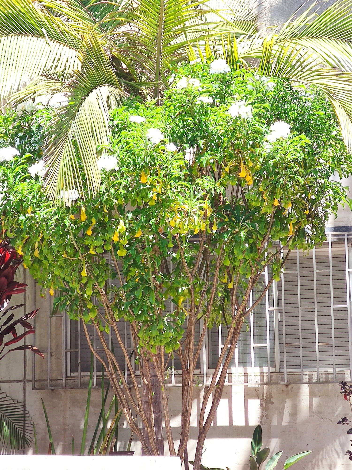 Foto secundaria del campus Facultad de Ciencias de la Salud