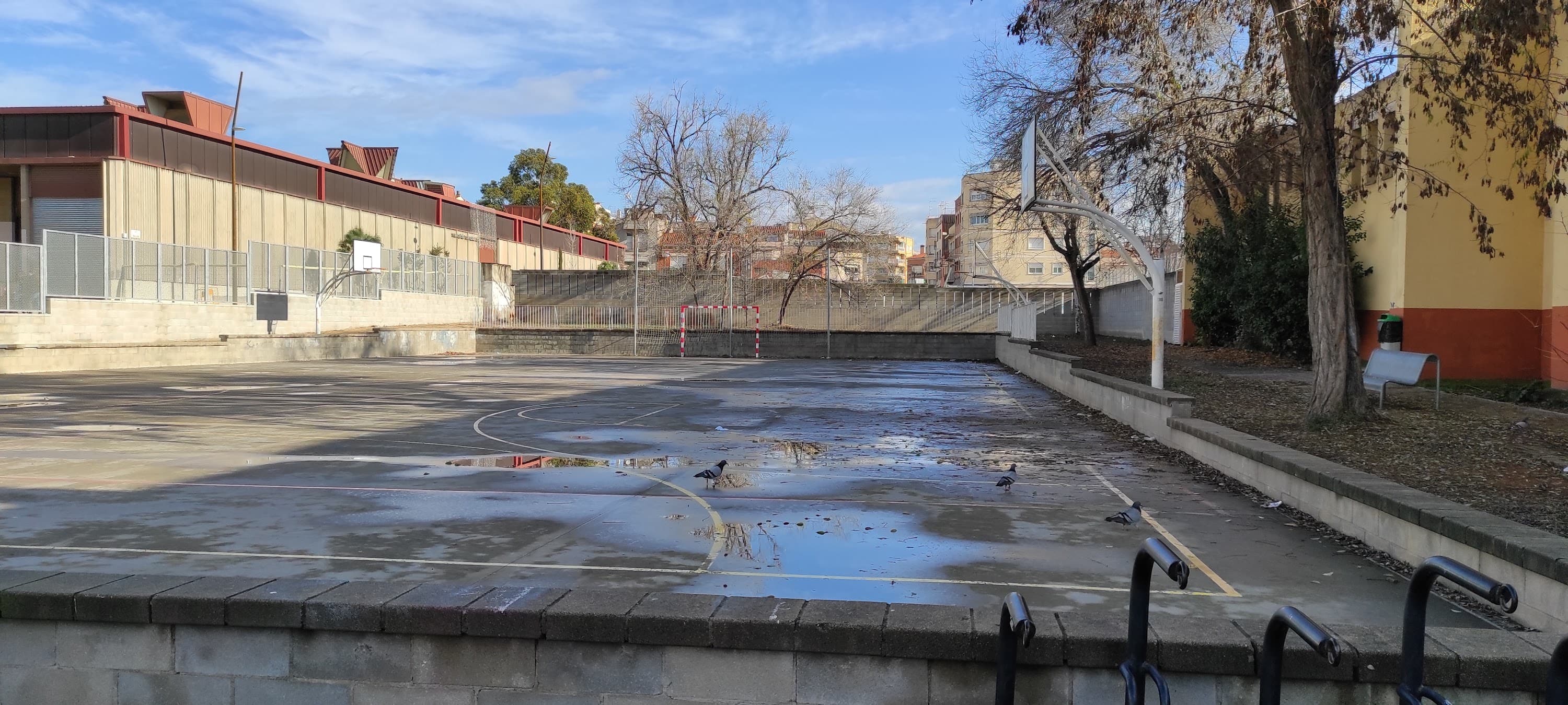 Foto secundaria del campus Institut Públic Ribot i Serra