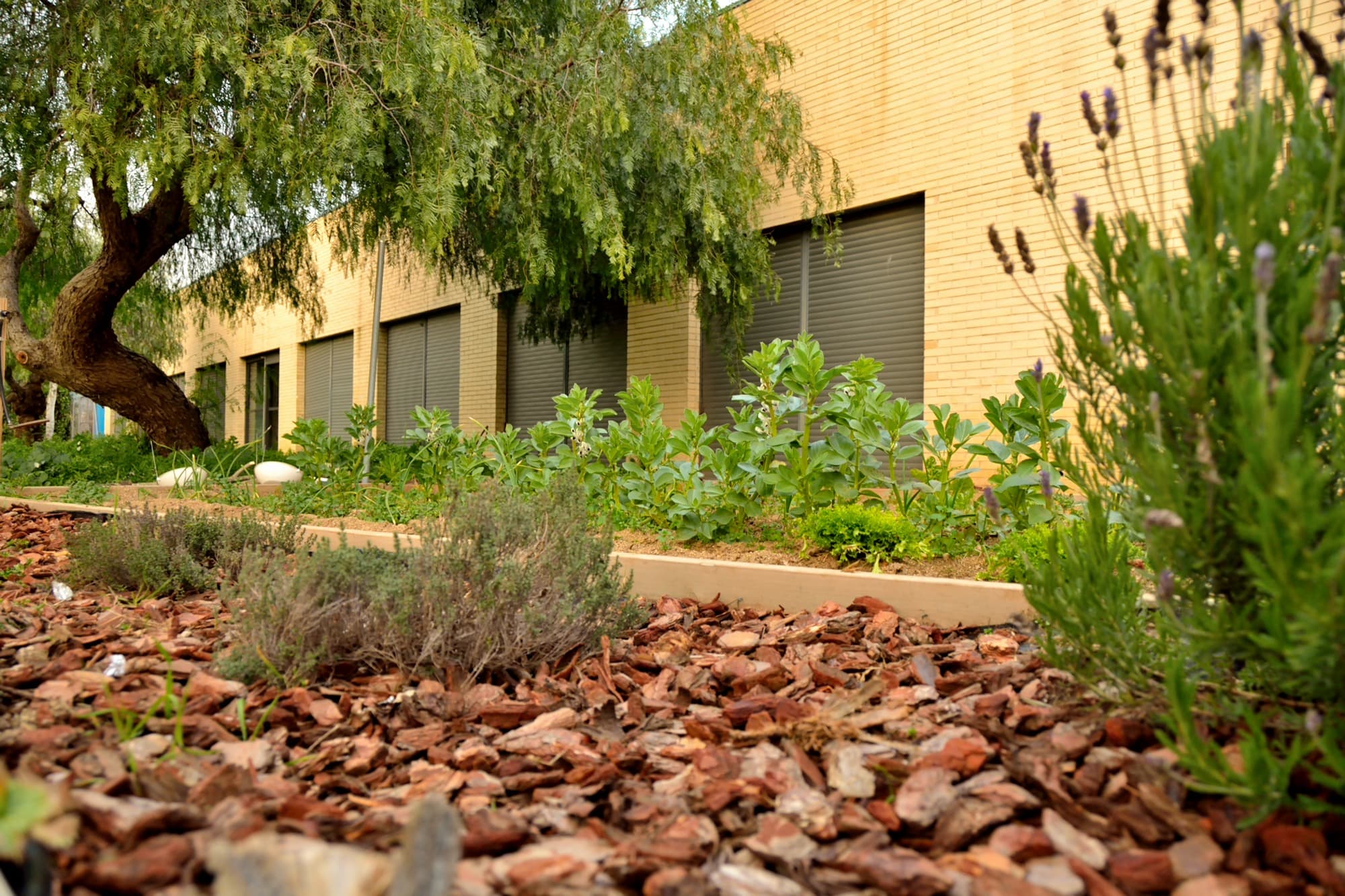 Foto secundaria del campus Institut Joan Coromines