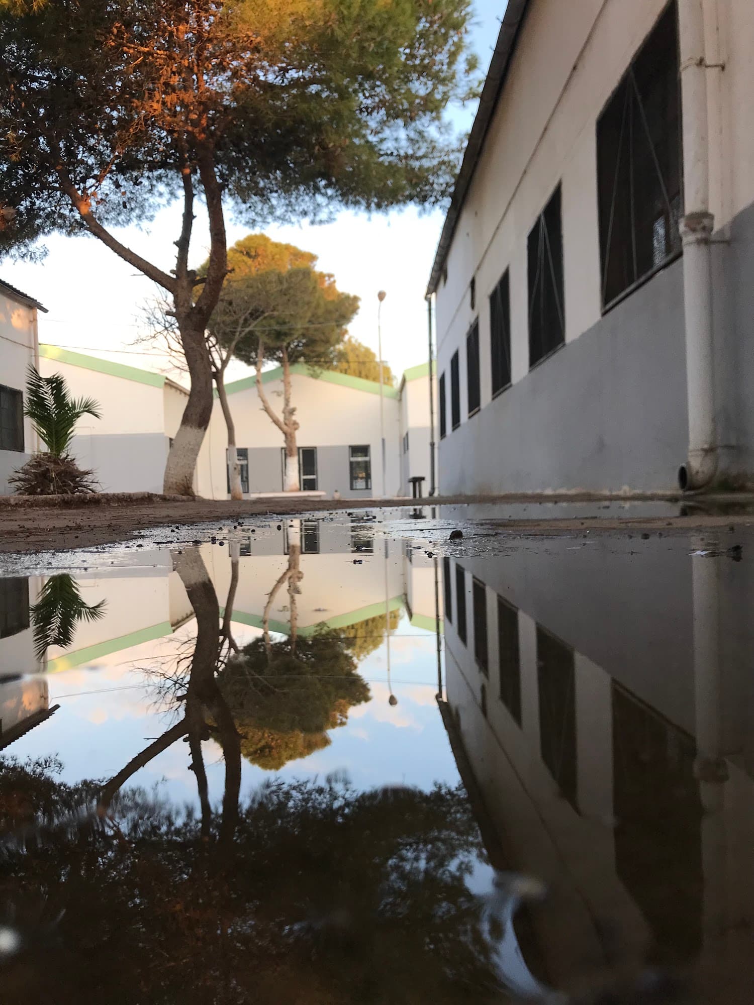 Foto secundaria del campus Institut de La Sénia