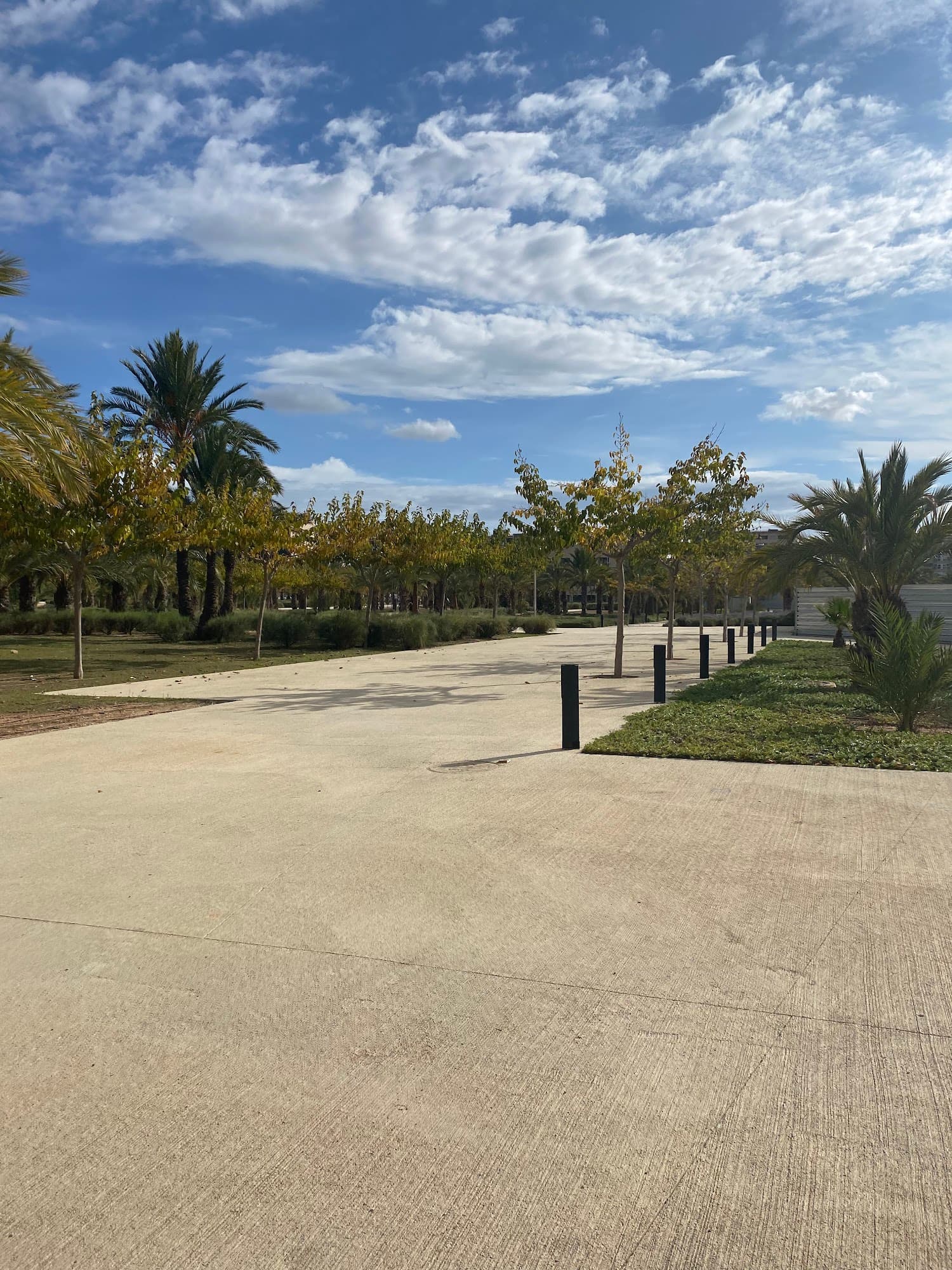 Foto del campus Campus de Elche
