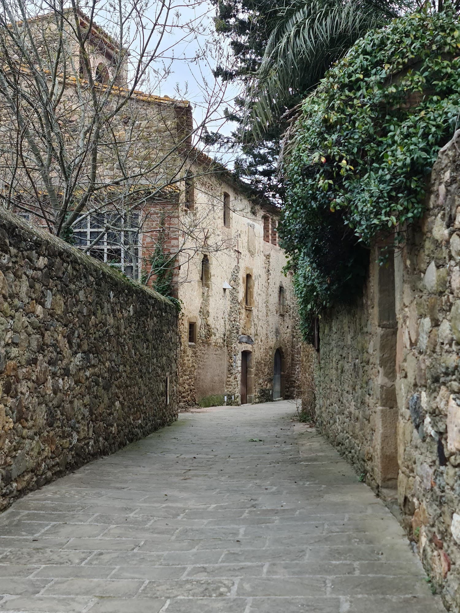 Foto secundaria del campus ESCOLA AGRÀRIA I ALIMENTÀRIA DE L'EMPORDÀ