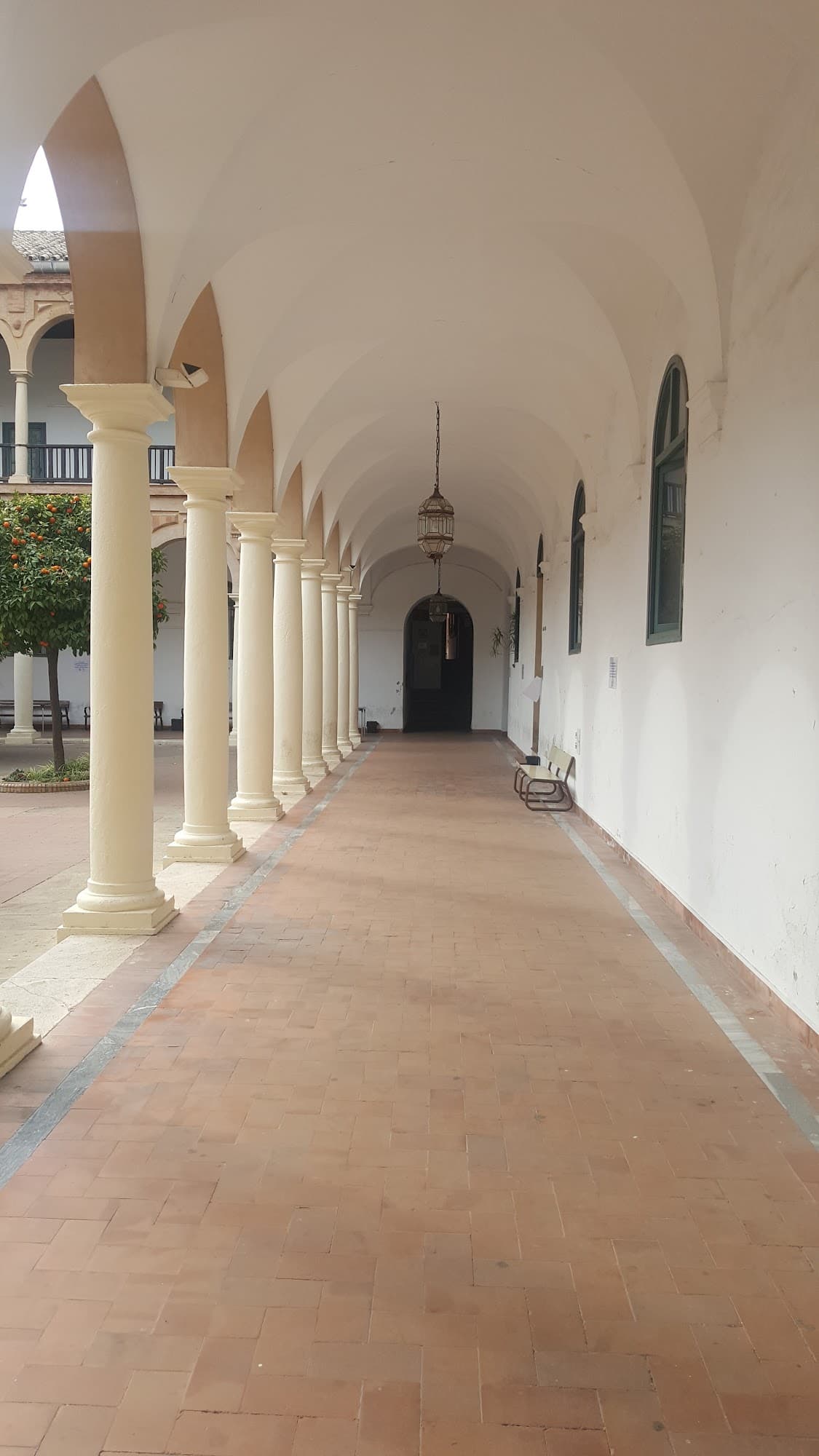 Foto secundaria del campus Facultad de Filosofía y Letras