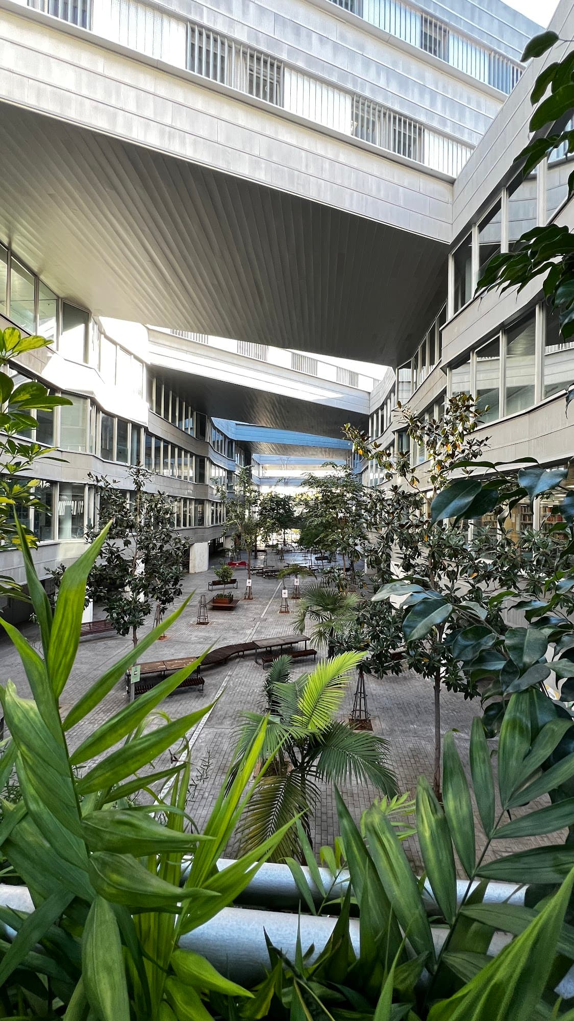 Foto secundaria del campus Facultad de Ciencias de la Educación